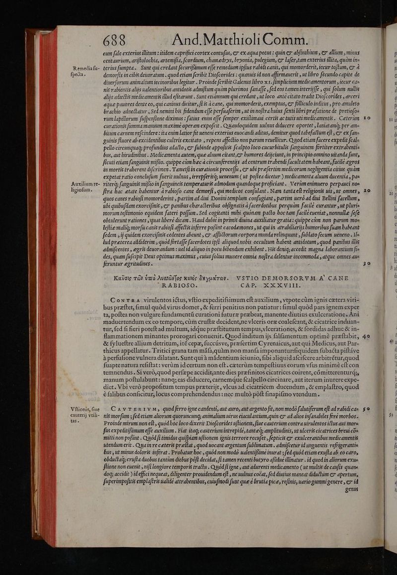 Remedia fu- fpecia. Auxilium re- ligiofum á Vftionis, fiue cauterij vtili- tas. 689 And.Matthioli Comm. eum fale exterius illitum : itidem caprifici cortex contufüs, ez ex aqua potus ; quin ez* ab/intbium , ez aliu , minus centaurium, ariflrolocbia, artemifia, cordium, chamedr.ys, bvyonia, pulegium, c lafer tam exterius illita, quàm in- terius fumpta. Sunt qui credant fecuriffümun effe remedium ipfius rabidi canis, qui momorderit, iccur toftum, ez 4 demorfís in cibis deuoratum . quod etiam fcribit Diofcorides : quanuis id non affrmauerit , ut libro fecundo capite de diuerforum animalium iecinoribus legitur . Proinde fcribit Galenus libro x x. [implicium medicamentorum , iecur ca« nis vabientis alijs ualentioribus antidotis admiflum quàm plurimos fanafJe , fed cos tamen interij[fe , qui folum nullis alijs adiectis medicamentis illud efitarunt . Sunt etiámnum qui credant , ut loco. ant citato tradit Diofcorides , arceri aque pauoves dente co, qui caninus dicitur, fi is à cane, qui momorderit, exemptus, e folliculo inditus , pro amuleto brachio adne&tatur , Sed nemini bis fidendum e[Je perfuaferim , ut in noftra buius fexti libri praefatione de pretiofo- rum lapillorum fufpenfione diximus : fatius enum efe femper existimaui certis ac tutis uti medicamentis .. Ceteram curationis fumma manuum maxime operam expofcit . Quandoquidem uulnus diducere oportet , laniatamq; per ame bitum carnem re[cindere : ita enim latior fit ueneni exterius euocandi aditus, demitur quod tabefactum eft , c ex fan- guinis fluore ab excidentibus cultris excitato , repens affectio non parum reuellitur. Q uod ctiam facere expedit fcal- pello circuquaq; profundius adatto , e fubinde appofitis fzalpto loco cucurbitulis fanguinem. fortiter extrabentis bus, aut birudinibus . Medicamenta autem, que aluum citant,ez* bumores deijciunt, in principio omnino uitanda funt, ficuti etiam fanguinis nufsio. quippe cim bec à circunferentijs ad centrum trabendi facultatem babeant, facile egros in mortis traberent difcrimen . Tametfi in curationis proce[Jà , €» ubi prefertim medicorum negligentia citius quàm expetat ratio conclufum fuerit uulnus , irrepferitq; uenenum ( ut poflea dicetur ) medicamenta aluum ducentia , pas viterq; fanguinis mifsio in fanguineis temperaturis admodum quandoque proficiant . Nerüm enimuero perpauci nos fira bac etate babentur à rabiofo cane demorfi , qui medicos con[ulant . Nam tanta est religionis uis , ut omnes quos canes rabiofi momorderint , partim ad diui Donini templum. confugiant , partim ueró ad dini Bellini facellum , ubi quibufdam exorcifinis , e» panibus characteribus obignatis à facerdotibus perquam facile curantur ,ut pluriz morum teftimonio equidem fateri po[Jum . Sed cogitanti mibi quónam pacto boc tam facile eueniat , nonnulle fefe obtulerunt rationes ,'quas libere dicam . Haud dubie in primis diuina auxiliatur gratia: quippe cim non parum mos leflie maliq; morfà canis vabiofi affectis inferre pofsint cacodemones , ut qui in. atrabiliarijs bumoribus fuam babeant fedem , ij quidem exorcifinis cedentes abeunt , e affüctorum corpora munda relinquunt , fublato fecum. ueneno . 1- lud preterca addiderim , quod fortaffe facerdotes ipfi aliquod nobis occultum babent antidotum , quod panibus illis admifcentes , egris deworandum : uel id aliquo in potu bibendum exhibent . His deniq; accedit magna laborantium fi des, quam fufcipit Deus optimus maximus ; cuius folus munere omnia. no[tra delentur incommoda , atque ones aue firuntur egritudines . j Kojole TG! Va AvoyV[or Xvie Syudroy. VSTIO DEMORSORVHM.A' CANE RABIOSO. QPs2Coc «ova Iis CowTna virulentos ictus, vítio expeditifsimum eftauxilium , vtpote cüm ignis cetera viri- bus przftet, fimul quód virus domet, & ferri penitius non patiatur : fimul quód pars ignem exper ta, poftea non vulgare fundamentü curationi futurz przbeat, manente diutius exulceratione, Ani maduertendum ex eo tempore, cüm crufte decidentne vlceris ore coalefcant, & cicatrice induan- tur, fed fi fieri poteftad multum, idque preftitutum tempus,vlcerationes, & fordidas adhuc & in- flammationem minantes prorogari conuenit. Quod inditum ijs falfamentum optimé prazftabit, & fylueftre allium detritum, ité cepa, fuccüsve, prefertim Cyrenaicus, aut qui Medicus, aut Par- thicus appellatur. Tritici grana tam máfajquàm non manfà imponantur:fiquidem fübacta piftáve à perfufione vulnera dilatant. Sunt qui à mádentium ieiunio, fibi aliquidafcifcerearbitréturquod fuapte natura refiftat : verüm id certum non eft. caterüm tempeftiuus eorum vfus minimé eft con temnendus. $i veró,quod perfepe acciditjante dies prfinitos cicatrices coirent, cómitterenturd;, manum poftulabunt: nanq; eas diducere, carnemque fcalpello circinare, aut iterum inurere expe- dict. Vbi veró propofitum tempus praterijt, vlcus ad cicatricem ducendum , & emplaftro, quod e falibus conficitur, locus comprehendendus : nec multó poft finapifmo vtendum. CavrTERIVM, quodferro igne candenti, aut auro, aut avgento fit, non modo falutiferum eft ad vabidi ca- tiis mofim s fed etiam aliorum quoruncunqs animalium uivus eiaculantium;quin e7* ad alios infanabiles fere movbos . Proinde mirum non est , quod boc loco dixerit Diofcorides uftionei, fiue cauterium contra uivulentos itus aut mora fus expeditifsimum e[Je auxilium . Fiat itaq; cauterium intrepide, tanteq; amplitudinis, ut ulceris cicatrices breui coz iiti non pofsint . Quod fi timidus quifpiam uflionem. ignis terrore recufet , fepticis ex exulcerantibus medicamentis utendum erit . Q ua in re ceteris prestat , quod uocant argentum füblimatum . admifcetu id unguentis vefrigerantis bus , ut minus doloris. inferat . Probatur boc , quód non modo ualentiféime inurat ; fed quod etiam exufla ab co caro, obductaq; crufta duobus tantàm diebus poft decidat, fi tamen recenti butyro aftidue illinatur . id quod ín aliorum exu- flione non euenit y nifi longiore temporis tractu . Quod fl igne , aut adurenti medicamento ( ut multis de caufis quan» doq; accidit ) id effici nequeat, diligenter prouidendum eft , ne uulnus cocat, fed diutius maneat diductum ez apertum, fiperimpofitis empla[tris ualide attrabentibus, cuiu[modi funt que € brutia pice, vefinis, uario gummi genere , e id genus 10 20 39 40 $9
