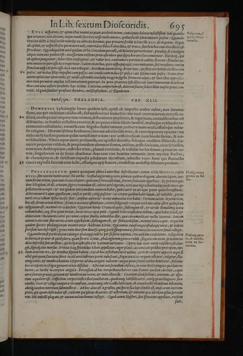 dt gy ^j. ES dn Qttfi: dict dtt. peg; Mni ) Dro: 10 iquat. C lt Itl T Gs fut gut lode qd iie nfi t pri Tru uo Te Vat hift: Mt dent titt Vf Td ifie 30 L if fit NU | Nos puli 4i IcoMte fient fciam 42 ttd il p | f il Ts (hit | P4 fe vent adt jd jo ttt T ja n n TAN MMOL a E sr Wefparum, ey apum itus nemini unquam attulerit necem ; cum tamen dolores molcftiftimi inde quando- que oriantur, non alienum, neque inutile fuerit ea nofJe medicamenta , quibus facile ijdem mulceri pofünt Quamob- rem iam dictis a Diofcoride remedijs ca addenda duximus, que priuatim fcribit Atius lib. x 111. fic inquiens . Si quis ab apibus, c7 uefpis illefüs permanere uelit, eum malue folia ch oleo illita; c» eruca, fiue bruchus cum olco illitus afe feruabunt . Quandoquidem uero quidam ab bis clanculum percufsi , ob dolorem pertuybantur , putantq; fe à maligno aliquo animante petitos effe , neceJJarium exiflimo prius oJTendere que figna borum ictus comitentur . Hos i£aq; y qui 4b apibus punguntur , dolor itus conféquitur , e rubor loci , cum tumore partium in ambitu fitarum : mulus «u- tem omnino in percu[Jo loco reperietur. Eadem etiam bos, quos uefpa pupugit; concomitantur, fed intenfiora: teràm | füimulum uefpa in pevcuffo loco non relinquit . Auxilium autem utriqy ferunt luto , aut [Tercore bubulo cis illito cum | 1o pofca: aut malue folijs upofitis cum pofca : aut cimolia cum malua e7* pofca : aut fefamo cum pofca . Naturaliter o Vefparum, € apum Ius, & remedia. non enim permittit amplius inflammationem generari . Yn. potu preterea ipfis foliorum lauri tenerorum drachyias duas cum uino auftero preebeto. bec Aétius . Ceterm compertum efl, dolorem fLatim fcdari illitis mufcis prius cone tritis, Id quod fimiliter preftant thbymbra , meliffopbyllum , c fisymbrium . $xA*yylt. PHALANGIA. CAE. XLIL DzMonsrs àphalangijs locus quidem ipfe, quafi ab impacto aculeo rubet, non intume- Ícens, nec per ambitum calidus eft, fed mediocriter humeftit: vbi veró contrariorum occurfu re- 20 frixit, confequitur corpore toto tremor, diftentiones poplitum, & inguinum, conuulfionibus nó difsimiles. in lumbis collectio exoritur,& perpetua vrinz libido laceísit, multaque reddendis ex- crementis collu&atio.. vniuerfa cute frigidus fudor emanat , collacry mant oculi;offufisQue nebu- lis caligant. Horum ictibus ficulneum cinerem adie&o fale trito, & vino imponere oportet : aut radicem fylueftris punicz quàm tenuifsimé tritam : aut ariftolochiam cum hordei farina, & ace- L to fuba&tam . Vlcera aqu maris proluenda, aut apiaftri decocto, foliaque eiufdem illinenda . La- uacris perpetim vtédum, & propinandum abrotoni femen, anifum, ariftolochiam, cicer fylueítre, cuminum Aethiopicum, cedrides tritas , platani corticem , & trifoliz herbz femen : priuatim au- tem fingulorum ex ijs binas drachmas dare cum vini hemina conuenit. item myrice fructus, & chamzpityos, & viridium cuprefsi pilularum decoctum ; admifto vino. Sunt qui fluuiatilis cancri exprefsi fuccum cum lade , affumpto apij femine ; confeftim moleftijs liberare prodant. v o PuartANGIORVM gererd quamquam pliva d ueteribus defcribuntur ; tamen. ACtio libro 11. capite xv 111. fex tantion numerantu, bis uerbis . 1n pbalangiorum genere primum quidem vbagium, alterum lupum , tevz tium formicarium, quartum cranocolaptes , quintum fclerocepbalum, fextura fcolecium appellant ..Ac prin qui- dem Rbagium, id efE, acineum, figura rotundum eft, colore ueró nigrum, acini ue nigre fimilitudige unde ctiam aps pellationem accepit : e eos quidem iuxta medium uentrem babet , pedes uer. ex utraque parte quàm breuifsümos . Alterum weró Lupus appellatum , mufc4s perdit , eisqs pafcitur : ac corpus quidem babet latum, e» uolubile , partes uero circd collum ipfius incife funt : amplius autem e* os eius eminentias tres babet . Tertium autem Myrmecium, boc efe; formicarium dictum , formice maxime afimilatur, colore fuliginofo : corpus ueró eius uelut aftris quibufdam 4o infignitum eJ , maxime circa dorfum . Quartum deinde Cranocolaptes , fublongum eft , ez uivide Stimulumq; iuxta | collum babet, atq; fi in quem ivruat , locos circa caput petit . Quinti Sclerocepbalum di&um, caput babet faxeit, cz obduratum : lineamenta uero. per omne corpus fimilia antntalibus illis que circumuolitant nou lucernas . Sextum | autem Scolecium fiue uermicarium appellatum , fublongum eft , e fubmaculofum , maxime circa caput . Atque bee quidem fpecies pbalangiorum enumerantur « bactenus Aétius Qui tamen. culufcunque phalangij notas , ez' indicia | fcorfum non defcripfit ( genus enim dinerfum diuerfa quoq; parit fymptomata) fed omnia in commune fimul collegit . Quamobrem fi particulatim cuiusque pbalangij indicia. per fe fcire cupimus , Nicandrum confulamus . 1s fiquidem in tberiacis preter id quod plura, quam fecerit Aéctius , phalangiorum genera veddit , fingulorum ctiam. priuatim ine | dicia defcvibit fuis uer[ibus , qui ita paraphra[lice in Latinum uertuntur . Opera iam nunc noxij confidera phalane gis, fignad; elus movfus Primus itaq; fplendidus Rbox appellatur, niger plane , accumulatis pedibus prorepens, mee 5o dium uentrem ore , ey dentibus feptum babens . Cui ab boc inflictum fuerit uulnus , perinde corpore apparct atque f nibil quicquam fauciatus foret : oculi uero inferiori parte rubefcunt , frigus iuxtá in corpore adberet , infiitur, $fa- timq; color, e membra bominis à fupernis ad ima uergere. uidentur : neque penis femine uuidus demittitur , fed lume bos occupans ita frigus genuum nexus diffoluit .. fFerion iam fecundum obferua, in cuius dorfo pinguia quedan vec lucent , ac lucide in corpore uirgule . Percu[Jum ab boc inexpectatus borror cum flamine quodam adoritur , caput uero fomnus grauat, genuwm e: membrorum nexus, ez* imbecillitas fit « Cyaneum aliud fublinte , crinitum , ez afpee rum equaliter efl . Difficilem corpori infert illud puncturam , quodcunq; labefactauerit , corQ; evaui languore fuce cumbit. Nox €7' caligo tempora circumftant , uomitumq; edit € collo lubricum, ab araneis telis nó multum distantem, | adeoq; tandem interitum fübministrat .. Ab boc alius efE A groftes, qui fpecie fua lupo fimilis cfl, mufcarum intcreme 1 ptori, qui apum obferuator eft , culicum qui pfenes dicuntur, c ccJErorum, c* omnium que ad telam ipfius peruene rint. Hic imbellé plagam, ez uanum uulnus bomini infligit .. Q iod autem D»[deri, fiue [pheceum appellant , bre atis, Phalagiorum genera ex À€ tuo. Phalang.sene ra, & morfus note ex Ni- candro.