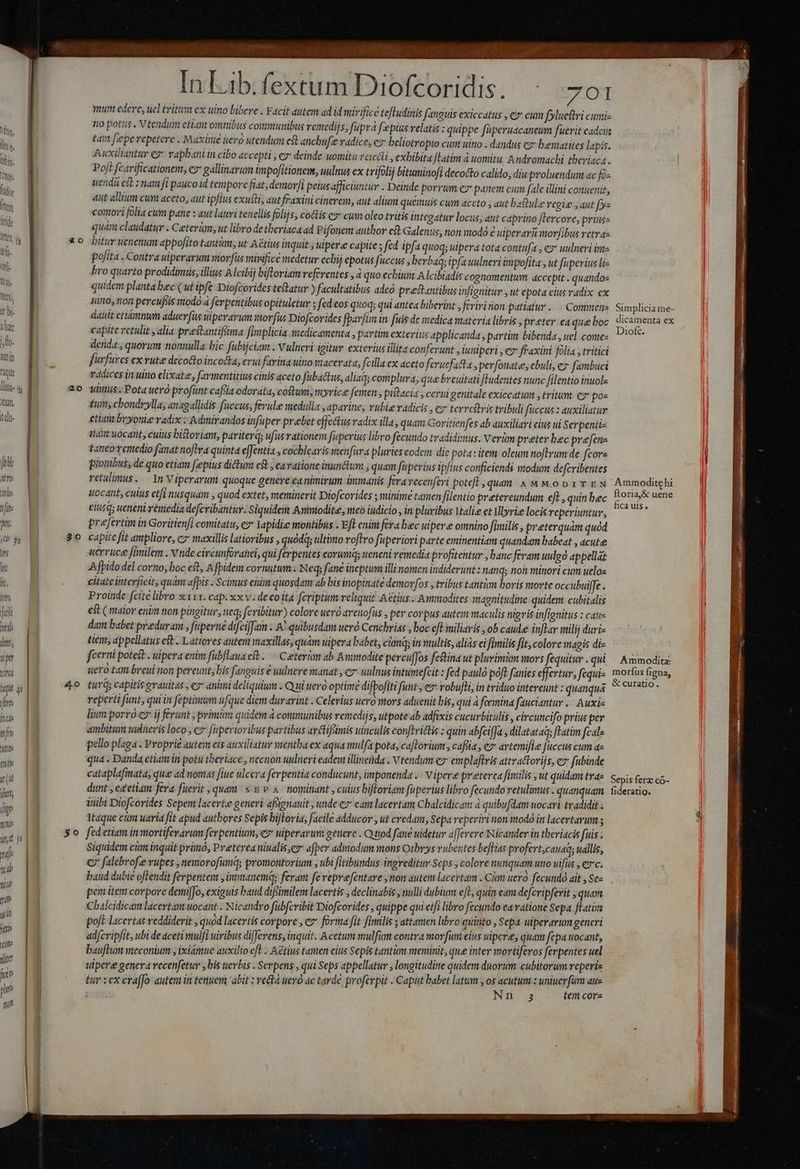fire TT If AMt0s ttti it (ul jit, dt p | ! | | zo 20 4o Pee : Vo AE EL) S1 sk ^. S RP AV Ares ^ NR Y h Z wo ey - 4 In Lib.fextum Diofcoridis. ^ 701: mum edere, uel tritum ex uino bibere . Facit autem ad id mirifice tefludinis f'anouis exiccatus , €» cum folucstri cumiz no potus . V tendum etiam omnibus communibus remedijs, fupra f'epius relatis : quippe fuperuacaneum fuerit cadi tam fepe vepetere . Maxine uero utendum eft anchufe vadice, cz beliotropio cum uino . dandus cz bematites lapis. Auxiliantur ez raphani in cibo accepti , ey deinde uomita rcicdli , exbibita ftatim à uomitu. Andromachi theriaca. Pof? fcarificationert, c gallinarum ümpofitionem, uulnus ex trifolij bituminofi decocto calido, diu proluendum ac fo- tend cs : nam fi pauco id tempore fiat demorfi peius afficiuntur . Deinde porrum ez panem cuim [ale illini conuenit, dut allium cum aceto, aut ipfius exusti, aut fraxini cinerem, aut alium quemuis cum aceto aut bafulze vegise , aut (ys comori folia cum pane : aut lauri tencllis folijs, coctis c» cum oleo tritis integatur locus, aut caprino flercore, prius quàm claudatur . Ceteri, ut libro de theriaca ad Pifonem author e Galenus, non modó € uiperarü morfibus retra- bitur uenenum appofito tantim, ut Aétius inquit ; uiper«e capite ; ftd ipfa quoq; uipera tota contufa , e uulneri intz pofita . Contra ulperarum wor fus mirifice medetur echij epotus fuccus berbaq; ipfa uulneri impofita , ut fuperius liz bro quarto prodidimus, illius A lcibij bifloriam referentes , à quo ecbium. Alcibiadis cognomentum. accepit . quandos quidem planta bec ( ut ipfe -Diofcorides teftatur ) facultatibus adco prestantibus infignitur , ut epota eius radix. ex uino, ron percufsis nodo à ferpentibus opituletur ; fed eos quoq; qui antea biberint , feriri rion patiatur .... Commenz dauit etiámnwm aduerfüs wiperarum morfus Diofcorides fparfim in fuis de medica materia libris preter -ea que boc capite retulit alia prestantifüma fimplicia medicamenta , partim exterius applicanda , partim bibenda , uel comez denda ; quorum nonnulla bic fubijciam . Vulneri igitur exterius illita conferunt , iuniperi , e fraxini folia , tritici furfurcs ex rute decocto incocta; erui favina uino macerata, fcilla ex aceto feruefatta ,perfonate, ebuli, e» fambuci radices in uino elixate, farmentitius cinis aceto fibactus, aliad; complura, que breuitati fLudentes nunc filentio inuol- uimus.. Pota uero profünt cafa odorata, coftum; myrice femen , pistacia , cevia genitale exiccatum , tritum ez pos £u; chondrylla, anagallidis fuccus, ferule medulla , aparine, rubie vadicis , ez terrcthris tribuli fccus : auxiliatur etit bryonie vadix : Admirandos infuper praebet effectus radix illa, quam Goritienfes ab auxiliari cius ui Serpentiz uai uocant, cuius bistoriant, pariterd; ufus rationem fuperius libro fecundo tradidimus. Verum preter bec prefen- £aneovremedio fanat noftra quinta effentia , cocblearis menfitra pluries eodem. dic pota: item oleum noftrum de fcors pionibus; de quo etiam feepius ditum c& , eavatione inun&lum , quam füperius iplius conficiendi modum defcribentes retulimus. — 1n Viperarum quoque genere ea nimirum immanis feva recenferi pote[E, quam & M M.op1 TEN Hocanb, culus etfi nusquam , quod extet, meminerit Diofcorides ; minime tamen filentio pretereundum eft, quin bec eitis; weneni rémedia defcribantur. Siquideia Anintodite, meo iudicio , in pluribus Valie et Vllyrie locis reperiuntur, prefertim in Goritienfi comitatu, er Yapidie montibus . Eft enim fera bec uipere omnino fimilis , preterquam quod capite fit ampliore, c7 maxillis latioribus , quódq; ultimo roftro fuperiori parte eminentiam quandam babeat , acute uerruce fimilem . vnde circunforahei, qui ferpentes eorumq; ueneni remedia profitentur , banc feram uulgo appellat A fpido del corno; boc cb, A fpidem cornutum . Neq; fane incptum illi nomen indiderunt : nang; non minori cum uelos citate interficit, quàm afpis . Scimus enim quosdam ab bis inopinate demorfos , tribus tantim boris morte occubuiffe . Proinde fcite libro x 111. cap. xx v. de eoita feriptum reliquit Aétius. Ammodites magnitudine quidem. cubitalis est (maior enim non pingitur, neq; fcribitur) colore ueró avenofüs , per corpus autem maculis nigris infienitus : cate dam babet praduram ; fuperné difcifam . A^ quibusdam ueró Cenchrias , boc eft miliaris , ob caude inflar milij duriz tien, appellatus e ..Latiores autem maxillas, quàm vipera babet, cima; in multis, alias ei fimilis fit, colore magis di- fcerni potest . uipera enim fubflaua est. — Caeterim ab Ayimodite percufJos festina ut plurimum mors fequitur . qui uero t4 breui non pereunt, bis fanguis € uulnere manat co uulnus intumefcit : fed paulo poft fanies effertur, fequi- turds capitis evauitas , ez* animi deliquium . Q ui uero optime difpofiti funt , e» robufti, in triduo intereunt : quanqua reperti funt, qui in fepiinum ufque diem durarint . Celerius uero mors aduenit bis, qui à femina fauciantur .. Auxie lium porró e» ij ferunt primi quidem à communibus remedijs, utpote ab adfixis cucurbitulis, circuncifo prius per ambitum tudneris loco , e fiperioribus partibus arctifumis uinculis conftriclis : quin abfciffa , dilatata; ftatim fcal« pello plaga. Proprie autem eis auxiliatur mentha ex aqua mulfa pota, caftorium , cafa , e» artemifie Juccus cum a« qua . Danda etiam in potu theriace , necion uulneri eadem illineinda . Vtendum e: emplaftris attractorijs, € fubinde cataplafmata, quee ad nomas fiue ulcera ferpentia conducunt, imponenda . Vipere preterea fimilis , ut quidam trae dunt , eaetiam fera fuerit , quam. s & e 4. nominant , culus biftoriam fuperius libro fecundo retulimus . quanquam inibi Diofcorides Sepem lacertze generi afsignauit , unde e» eam lacertam Chalcidicam à quibufdam tocari tradidit. Itaque cim uaria fit apud authores Sepis billovia, facile adducor , ut credam, Sepa reperiri non nodo in lacertarum ; fed etiam in wtovtiferarum ferpentim, e uiperarum genere . Quod fané uidetur a[ferere N icander in theriacis fuis . Siquidem cim inquit prüno, Preterea niualis ye afper adimodum mons Otbrys vubentes beflias profert,cauad; uallis, € falebrofze rupes , nemorofumq; promontorium , ubi fitibundus ingreditur Seps ; colore nunquam uno ulfits , Cc. baud dubie oftendit ferpentem , imnanemq; fevam fe veprefentare ,non autem laccrtam . Cion uero. fecundo ait , Sc« pon iten corpore demiffo, exiguis baud difsinilem lacertis , declinabis , nulli dubium efL, quin eam defcvipferit quam Cbalcidicam lacertam uocant . Nicandro fubfcribit Diofcorides , quippe qui etfi libro fecundo ea ratione Sepa fLatira poft lacertas veddiderit , quod lacertis corpore , ez forma fit fimilis ; attamen libro quinto , Sepa ulperarum generi adcripfit, ubi de aceti mulfi uiribus differens, inquit. Acetum mulfum contra morfuri eius uipere, quam fepa uocant, bauftum meconium , ixiémue auxilio eft . Aétius tamen eius Sepis tantüm meminit, que inter mortiferos ferpentes uel ulpere genera vecenfetur , bis uerbis . Serpens , qui Seps appellatur ; longitudine quidem duorum cubitorum reperis tur :ex era[fo autem in tenuem abit ; re&tà ueó ac tarde profevpit . Caput babet latum M zuniueyfüm aue TREE tem cora Simplicia me- dicamenta ex Diofc. Ammoditehi ftoria,& uene fica uis. Ammodit morfus figna, & curatio. Sepis ferz có- fideratig.