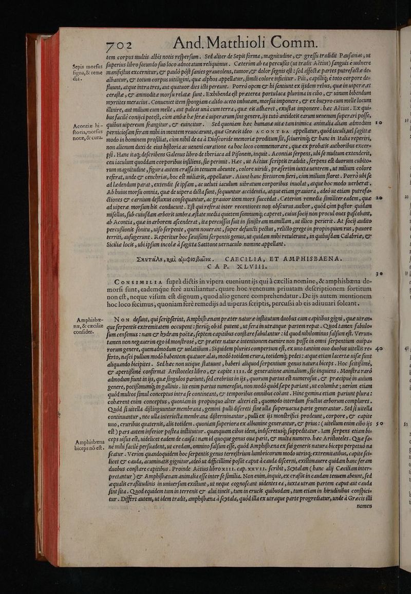 Sepis morfus figna &amp; reme dia. Acontie hi- ftoria,morfus note, &amp; cura. Amphisbe- te, &amp; czcilize confider. Amphisbena biceps nó eft. 702 And.Matthioli Comm. tem corpus multis albis notis refperfum .. Sed aliter de Sepis forma , magnitudine , ez gre[fa tvadidit Paufamas , ut füperius libro fecundo fuo loco adnotatum reliquimus .. Ceterum ab ea percufáüs (ut tradit Aétius) fanguis e uulnere manifcflus excernitur, e» paulo poft fanies graucolens, tumorsc7 dolor fegnis cfe : fed ajfectee partes putrefatta des albantur, €7 totim corpus uitiligini, qu« alphos appellatur, finuili colore inficitur . Pili , capilliqs e toto corpore de« fluunt, atque intra tres, aut quatuor dies icti pereunt. Por opem ez bi fentiunt ex ijsdem rebus, que in ulperz,ct cerafle , e ammodite morfu relate funt .Exbibenda eft preterea portulaca plurima in cibo , ez uinum bibendum moyrtites meracius . Conueniet item fpongiam calido aceto imbutam, morfui imponere , €9* ex butyro cum melle locuni illinire, aut milium cum melle y aut paleas unà cum terra , que cis adberet , exuflas imponere . bec Aétius . Ex quis bus facile conijci potefl cim ambe be fer«e € uiperarum fint genere, ijs tuto antidotis earum uenenum fuperari pofJe, quibus uipereum. frangitur , e euincitur. — Sed quoniam bec bumane uite taminimica animalia aliam admodum perniciofam feram mihi in mentem veuocarunt, que Grecis ideo. &amp; c o N Y 1A. appellatur, quod iaculiuel fagittee modo in bominem profiliat, cio nibil de ea à Diofcoride memorie proditum [it, fciuerimd; €2* banc in Ytalia reperiri, non alienum duxi de eius hiftoria ac ueneni curatione ea boc loco commemorare , que ex probatis authoribus excerz pfi Hanc itaq; defcribens Galenus libro de theriaca ad Pifonem; inquit . Acontiae ferpens, ubi fe multum extenderit, ceu iaculum quoddam corporibus infiliens, fic perimit . Heec , ut Actius fcriptis tradidit ; ferpens et duorum cubitos vum magnitudine , figura autem crafJa in tenuem abeunte , colore uiridi , prefertim iuxta uentrem , ut nülium colore referat, unde ez cenchrias, boc est miliaris, appellatur .. Aiunt banc fortiorem fieri, ciam milium floret . Porró ubi K ad ledendum parat , extendit fe ipfant , ac ueluti iaculum uibratum corporibus inuolat ; atque boc modo: uerberat . Ab buius morfu omnia, que de uipera dita funt, fequuntur accidentia, atque etiam grauiora , adeo ut etiam putrefae éliones e» cavnimm defluxus confequantur, ac grauior item mors fuccedat . Ceterum remedia fimiliter eadem , que ad uipere movfumhis. conducunt . Eft qui veferat inter recentiores nou obfcurus author , quod cum paftor. quidam mifellus, fub cuiufdam arboris umbra efLate media quietem fomnum; caperet , cuius focij non procul.oues pafcebant, ab Ácontia , que in arborem afcenderat ,ita percuJus fuit in finifWram mamillam , ut illico. perierit ..At focij audito percufsonis fonitu , wifo ferpente , quem nouerant , fuper defuncti pectus , relico grege in propinquum rus , pauore &amp;erriti, aufugerunt . Reperitur boc feuiftni fevpentis genus, ut quidam mibi retulerunt in quibufdam Calabrie, ez Sicilie locis ,ubiipfum incole à fagitta Sacttone wernaculo nomine appellant. Zuvr&amp;AN, xol dpdioBuwt. CAECILIÁ, ET AMPHISBÁAÁENA. GÀ Bun 2X EbMd do CowxsrMaLEA füpridictisinvipera eueniuntijs qui à cecilia nomine, &amp; amphisbzna de- morfi funt, eademque feré auxiliantur. quare. hoc venenum priuatam defcriptionem fortitum non eft, neque vifum eft dignum , quodalio genere comprehendatur . De ijs autem mentionem hocloco fecimus , quoniam feré remedijs ad uiperas fcriptis, percuísi ab eis adiuuari foleant. Now. defunt, qui fcripferint, Ampbifbenam preter nature infatutum duobus cum capitibus gigni , que utratis que ferpentis extremitatem occupent s fieriq; ob id putent ,ut fera in utranque partem vepat . Quod tamen fabulos fum cenfemus z nam e» bydram potte, feptem capitibus conftare fabulantur : id quod nibilominus falfum eff. Verunz tamen non negauerim ego id monftrose , ez preter nature intentionem euenire non. poffe in omni ferpentium ouipas rorum genere, quemadmodum ez* uolatilium . Siquidem pluries compertum efL, ex uno tantum ouo duobus uitellis vez férto, nafci pullum modo babentem quatuor alas, modo totidem crura, totidemd; pedes : atque etiam lacerte uife funt aliquando bicipites .. Sed bec non utique fLatuunt ; baberi aliquod ferpentium genus natura biceps . Hoc fcitifsime, e apertiffime confirmat Aristoteles libro , € capite 1111. de generatione animalium, fic inquiens . Monflra raró admodum fiunt in ijs, que fingulos pariunt, fed crebrius in ijs , quorum partus e$t numerofüs , e? precipue in auium genere, potifsimumd, in gallinis . is enim partus numerofus, non todo quód fepe pariant ,ut columba ; uerum. etiam quód multos fimul conceptus intra fe contineant, c temporibus omnibus co&amp;ant . Hinc gemina etiam pariunt plura : coberent enim. conceptus , quoniam in. propinquo aller. alteri est , quomodo interdum fructus arborum complures . Quod fi uitella diftinguuntur membrana , gemini pulli difcreti fine ulla fuperuacua parte generantur . Sed fi uitella continuantur , nec ulla interiecta membrana diflerminantur , pulli ex. ij5 monstrifici prodeunt , corpore , ez capite uno , cruribus quaternis, alis totidem . quoniam fuperiora ex albumine generantur, ey prius: ( uitellum enim cibo ijs eft) pars autem inferior poftea instituitur . quanquam cibus idem, indifcretusq; fuppeditatur . Yam ferpens etiam biz ceps uifus eft, uidelicet eadem de caufa : nam id quoque genus oua parit, ez multa numero. bec Aristoteles . Que fa« ne mibi facile pevfuadent, ut credam, omnino falfum e[Je, quod &amp;mphifbeena ex fui generis natura biceps perpetuo na fcatur . Verian quandoquidem boc ferpentis genus terre]Hrium lumbricorum modo utrisq; extremitatibus, capite fcis licet ez cauda, acuminatis gignitur adeo ut difficillime pofit caput à cauda difcerni, exitimauere quidam banc feram duobus conflare capitibus . Proinde Aetius libro x x11. cap. xx v 11. feribit , Scytalam ( banc alij Ceciliaminterz pretantur ) ez Amphifbenam animalia effe inter fe fimilia. Non emm, inquit, ex crafsis in caudam tetuem abeunt, fed equalis crafsitudinis in uniuerfum existunt , ut neque cognofcant uidentes ea , iuxta utram partem caput aut cauda fint fita . Quod equidem tum in terrenis ez* alui tineis , tum in erucis quibusdam , tum etiam in. birudinibus con[biciz tur . Differt autem, ut idem tradit, ampbifoena à fcytala, quod illa ex utraque parte progrediatur, unde à Gr ecis illi nomen 10 20 3e 40 $0 $0