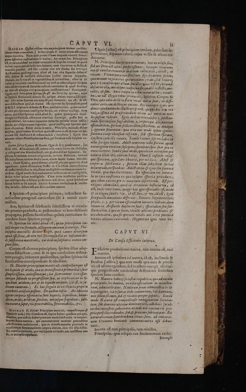 Horaw. Quibué additur vita ceu principium tertinm conffitus bivum rerum naturalium. ) In hoc Capite P. nova etiam afferuntur; atqueinaudita. Nam quis primà Z' iem unquam vócavit Princi. piwm EfJentiale confüitutivum vei native; Àn etiam hoc. Principium eft in mineralibus? an etiam mineralia &amp; Lapides vivunt? id quod in hoc capite pro ab(urdo non habetur, cum vita etiam in ftellis &amp; metallis ponitur. Aft hác ratione vita erit forma íeu omes Ariítotelica; quid ergo tunc aliud eft hac vita füperiüs definità? Hic dübius &amp; confultá obícuritate Lector tenetur fufpen(us. Deindé, aut fi vitaeft in vegetabilibus &amp; animalibus, eftne in. ii$ veluti principium conftitutivum!? an veró ut a&amp;us aliquis? An quia vita calido innato &amp; humido radicali continetur &amp; quafi fovetur, an ideo eit alicujus vivi principium conftitütivum? Neutiquami. uale veró Principiiem Spiritus ifle eff? An fortà ille Spirimas , tujus in Epiflel Dedicatori4 mentio fit, quique «nie contradiftingui- tür. Hic enim Spiritus aut non eft pars hominis, aut eft. $i eft; non diftin&amp;um quid ab Animá. Ifte Spiritus feu fpiraculiim,quod DEUS infpiravit Adamo &amp; Eve, quidaliud fuit, quàm anima? Si véró pér Spiritum intelligitur fora, uti videtur intelligi, dum extat, quàd hic Spiritus nihil aliud fit, quàm' principium cujuf- cunque rei formale, a&amp;tionum ómnium fcaturigó, poffet hoc in fea(ü toletari, (ed tamen fequentia verba hic prorfus erant refcin- denda, qux (ufpicionem ingerunt, quód intelligatur Spiritus qui- dam chymicus. Extat enim intextu , Philofophbis nonnullis dititur Sulphur, quod tamen diver(um quid effe notum eft ab oleo vel fpi- rituosá illá fubftantiá &amp; inflammabili ( Sulphure. ) .Certé non niemini ullum Philofopliorum fore,qui formam velit Sulphur vo- care. ; : Lumen [ilicet Nature &amp;&amp; Gratie. Qua de hoc proferuntur , fuo ftent tálo. Aliàsnotum eft, omnes ro/ee crucis fratres fen. Chiliafías, q uifingunt tres Mundos feculi, tres gradus divine fapientiz , du. plicem hominem, novam religionem, novam Politiadi, novam Ph lofophiam, novam Medicinam, etiam dgplex Lumen. introdu- cere , Vnum Nature, quod elévant, aliad Gratie, per quod vix aliud agnofcunt, quàm eífzntialem Noftri in Chii(tum eonvertionem &amp; noftri intelle&amp;us in obje&amp;tumintelligibile tranfmutationem for- malem. Quafi intellectus traducetetur in formam rei intelligibilis, &amp; fiat veluti ip(umi intelligibile. Cüm énim intelle&amp;us perficia- zur intelligendo, niliílque perficiatur, nifi ab eo; quod fymbolum fecum habet in fui naturá. Idcircó (tatuunt intelleétum &amp; intelle: €ta, ut talia, debere effe aut fieri ejuí(dem natura, € Spiritus eft principium primum ; inftru&amp;um fa- eultatibus peragendi eurriculum fibi à naturà com- milfum, | Seu, Spiritus eft fubftantia fübtiliffima vi creatio- nis primüm producta, ac poftmodum vi benedictionis propagata, pollens facultatibus quibus curriculum fe- cundüm fuam fpeciem peragit. N; Spiritus bic nibil aliud e$t , quàm principium cu4 jufchnque ei formale, a&amp;lionum omnium fcaturigo, Pbi- lofophis nonnullis dicitur Sulph. quod tamen diverfum quid e(fe fzias, ab oleo voel fpiritnofa illa ac inflammabi- li fabflantia materiali, cui itidem fulphuris nomen im^ pont folet. Corpus eft alterum principium, fpiritus illius adap- tatum fubjectum ; cam &amp; in quo curriculum deftina- tuin peragit, imbutum qualitatibus, quibus fpiritus fui facultatibus correfpondeant &amp; obediant. N. Dicitur principium materialb, compatlumque eft ex liquido c arido, qua ui in exiflentia primordial funt fimpliciffima, unmitiffimaque ; ita. fecernuntur 10craffan. zurque fubinde in progreffione (na, ac explicantur in li- quidum aridum; uti c 1n liquido aridum, (14 eff , in [a- linam naturam.) Et bac fingula an existentia propria &amp;xhiberi artificio poffunt. Dequibusinfrà-.— Accidentia zgitur corporss effentialia funt liquidis liquiditas, bumi- ditas avidi; aviditas, ficcitas, utrin[que frigiditas y [al1- n natura (apor, «is penctrabilis, fermeniabilis, ce. , HorM AN. N. Dicitur Principium materiale; compatimque efi liquido € arido.) Hic fciendum eft, Cepius haberi quedam pro quá- litatibus, qua re&amp;iis haberi poterant modi fubftantia in corpori- bus velftatus materie , qui annumerantur maxim? generalibus affectionibus coalitionum , quz ex diverfis materia particulis in cujufcunque denominationis corpora abeunt, cüm vix ulla diítin- éta materie particula, qua: vel liquida vel arida, aut confiftens non fit, in univerfo reperiatur. 4 ignis [a&amp;us] eft principium terium, prioribus fuz perveniens; ftipatum calore; cujus vi illa in acum tra- ducuntur. ! N. Principia du priora uniuntuv, on ut otiófa frnt fed uti Deus e$t aBus perfettiffmus , vitaque vitarum: it4 C Cunbtlas creatuy as inattum. collocacit » zd eit , in qam. Vitam puta non flritltore franificatione folum; qua motum yezeraiuis operationibus vrodit, fed latiore; qua voi cujnfcunque aum fem Mh eras vef-rt y eriamfr obfcurior il'ay thinh[que confbicna fit qualis uffellisyme- telis. &amp; fim. Sunt itaque in rebus naturalibus, vitali- bus; AC xd] ifo rebus primariis » Spiritus, Corpus &amp; Vita; qna Ade) Arie in flam vitali nnlta funt , «t diff- culter invicem distingui queant, Res exemplo- icis arz onlsatiffima ad pre[entandam oitam 4d ommum ocuz los pofitus Videtur. Ignis ardens tria exbibet 1. fubftan- nam spiritiofam flagrabilem, 2. corpoream alicuatenuà effamabilem, [piritus fcilicet illius abjetlusa, ac degiqué 3. 1gneam flammam : qua tria non modo ipfum ignegzs flamma comprehenfum refzrunt , fed. efluoium fbiranr ejufdem cum illó nataya. Simili ratione fefe ves baber ih aln. fen iane vitali. Adest nimirum imibi fpiritus apruá natusignem oitalem fafcipere; facultatefque fnas pre ve nata exerere. Simili fane modo,quo oleum accenfum pra natura ilius olei, odorem balat. Hum fi infitum cuju[- que Spiritimy appellare libuerit, per me licet, Adefl. cj corporea [ubstantia , fpiritus illius fabjetlum. bycbnó in lampade, respondens. Ades tertio cj ignis feu flamma 4italis, qna duo illaoivunt. En effentiam res natura lis in vita conflitüta ex qua infüper cflucia procedunt, qua rebus exteris pro ve nata eunt an[ivoitum. Efl por- roi9nis idem illud, quod in. creationis bifloria ms ,. id est, lucis oce genit, quippe bac iani effentialis efl unde € in lingua fana iis y id eff, Iuxy có ws id est , ionis folapuacii mutatione differunt , Sennert; hypomnemat; vitam ex Ariffotele duplicem facits cffentialem feu fub- Slantialem, à qua ut fonte, oitales atliones prodeants. e$ accidentale , qua frt operatio Qitalis aut. evite porentiá it. CAPYV.T avE. De Caufa Efficiente interaá; *  E Fficiens produ&amp;tionis native, tum interna eft, curi . externa. Interna eft ipfiufmet rci natura, id cft, inclinatio &amp; facultas [ activa] qua non modó apta nata &amp; procli- vis eft ad emergendum, fed in adtum emergit. ülteriuíf- que progrediendo curriculum deftinatum fecundüm fpeciem fuam conficit; | i; N. Naiura babetfefe inflar veipublice, qua adnutum principalis fui domini, auxilió offcialium ac mimstro- Yum, administratur. IN jmiirum prout administraiio il laperagitur,itave[ultat inde commodum; el damnum; non folum fibimet, (éd e vicinisquoque populis. Sunils modo Natura efl comprelienfio omnigenarum faculta- tum, fib dominio alicujué dominatricis, adbibins facul- zatibus miniflris gubernata, ut inde non tantum vei. pro- prie perfectio redundet; fed dj proximo fubueniatur. Res naturales enim frquidem bona creata fuyt, ad. imitatio- nem Creatoris bonitatis communicatiga eff dzbue- Yunut. ^ : Incerna eft tum principalis, tum miniftra. Principalis, quz reliquis ceu fundamentum exiftit: Exempli
