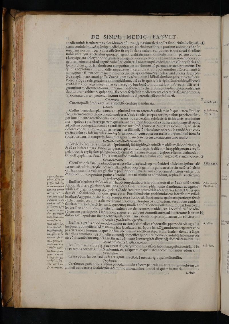 &amp;um confuluimus.At pleriq; medici;neq; o» uel plurimi morborum protinus ab initio cópofiti inuadant,norunt:neq; «p alius affectus fit eryfipclas exactum x alius uero isqui uocat ab oibus nobis ufitate,ut à ueteribus quoq; phlegmone:alij aüt inter hos medi) plurimi, partim ut fic di ci, eryfipelata phlegmonode , partim phlegmonz eryfipelatodus:ac inuenias non nunquá ubi neutrum uincat, fed ad ungué paria fint: quin etiá non nunquá cedematodes effe eryfipelas có Tpicitur;(icut aliud fcirrhodes:ur compofitorum morborum nó paruus aceruetur numerus. De quibus copiofius cum alibi differuimus,tum in curandi rationis uoluminibus . Dicetur auté &amp; nuncjquoad faltem eorum meminiffe neceffe eft c exaé&amp;tum ery fipelas haud unquá ab antedi- &amp;o cataplafinate curari poffit. Voco autem exactum,cuni à biliofa fluxione pars impleta fucrit. Porro glógeà refrigeration abfit coriádrum, uelex ijs qux ipfe fcripfit Diofcorides;difcere li ceat.Nam choeradas,fiuc ftrumas cum eregmo fiuelométo,inquit,diícutit.Porro 9 nullü refri- gcrantium medicamentorum idoneum fit difcutiendis cheradibus,ucl ipfum Diofcoridem nó dubitatutum arbitror, quippe quifexcenta fcripferit medicamenta choeradas fanare potentia; quz omnia tum temperie calidaytum a&amp;ionibus digerentia effe confeílus cft. Coronopus. Coronopodis ' radix cceliacis prodeffe creditur manducata. Cofms, Coftus leuiculam planeamaram, plurimá antem acrem &amp; calidam in fe qualitaten fimul &amp; facultatem continet,adeo ut etiá exulceret. Vnde ex oleo corpus eorum;quibus per circuitü ri- gor inuadiante acceffionem illo confricant:fic uero etiá in refolutis;&amp; ifchiadicis:atq; in fum ima in quibus excalfacere partem quáuis,aut ex alto in fuperficié extrahere quippiam cft opus, ad coftum confugit. Eadem de caufa urinas menfes; prouocat:&amp; ad rupta,conuulfa, aclatertü dolores congruit.Porro ob amaritatem quz illi ineft, lübricos latos necat. Ob eandé &amp; ad con- tractas uelut cx fole maculas ?2942ue Graeci uocanticum aqua aut melle ufurpant.Ineft item fla tuofa quzdam illi temperiei humiditas, per quam &amp; uenerem excitat cum uino mulfo. Coryledon umbiculus weneris. 3 Cotyledó facultatis miftz eft;népe humide fübfrigidz,&amp; cuivfdam obfcure fubadftringétis, &amp; ci ca leuiter amarge. Vnde refrigératrepercutit;abftergit;&amp; difcutit.Itaq; phlegmonas eryfi- pelatodus;&amp; cryfipelata phlegmonodescurat:&amp; maxime ftomachi ardore xítuantis admodum A .ibid.c.s60 |! | | ! ! £ol.119.b.c CrAHBtA COFZUS. Corni arboris fructus admodü acerbus eft,cfui aptus.Itaq; miri uideri nó debet, ipfum ualé ter uentré refiringerejficut &amp; mefpilla. Folia quoq; &amp; germina guftu acerba süt,valétcrá; defic cit.Itaq; maxima vulnera glutinarc poffunt;potiffimü durorü corporum:At patuis vulneribus É ^ &amp; molitoribus corporibus potius cótraria funt : ná nimiü ea cótendunt;ac plus fatis deficcant. preffis cod.ivv- Braffica'efculenta deficcádi uim habet tum efastü foris impofitajnon tfi etiá admodü acrem. tenti nebey;e, Mioqui &amp; ulcera glutinat;&amp; maligna ulcera fanat; preterea phlemonas à induratas;ac gie fo- ter ;vr serri Yübiles.&amp; id genus quoq; eryfipelata . Eadé facultate epinyétidas &amp; herpetes fanat. Habet qa- smterpres.Ser dam étin fe abfterforium;quo lepras curat. Porró femé eius potülumbricos interficit,maximé equidem apiid brafficze Aegyptiz,quáto fcilicettemperatura ficcior eft. San&amp;amarze qualitatis particeps fem&amp; Paulum inl cft ficut uidelicet omniaalia medicamenta, qui ad lumbricos idonea funt; Secundum eandem quibus codi.le facultatem ephelidas,&amp; lentes,&amp; quicunq; modica abfter(ionem poftulant;adiuuat.Porró cau TTE ELDTm 5 piii ne nies E  uie 5e »— ut Ael oie les brafficie cóbufti cineres efficiunt admodum deficcantes,ut uidelicetiá &amp; caufticá fiue adu- Ju iid P dolores,&amp; fi quideius fucrit gen erisadhibent:nam ualenter digerens pharmacum efficitur. rquijfm ta. j | Crambe agria braffica agreffis. SEN CE Braffica agreítis quodámodo calidior ficciord; domeftica eft,ceuaalia jppemodü oia agreftia. bent ood gas : iul generis domefticis Ícdm utranq; hácfacultatem ualétiora funt.Quamobrem neq; intra cor-: inellizendzá, pus citra noxá fumitur,ut quz longius ab humana reccefferit téperatura. Eadem de caufa &amp; gu. est, qud uebe tantibus amarior eftjdj dom eftica:quand domeftica quoq; acrimonie nó nihil &amp; fubamaritudi menter. fit a- nis cóuineat:fed utranq; hétagreftis ualidá:quare ét extergit &amp; digerit,d domeftica ualentius. C15, qHemad- Crambe thalattia braffica mariaa, paw et Dro. Bratfica/matinafupra q q uentrem deijciat, utpote fubfalfa &amp; fübamara guftu,fucritfané ét 'erides dixit. ^n Nr abire : : 4 r7. adexternos corporis ufus, &amp; ad omnia ea, ad quz tales qualitates accommodantur, idonea. In Oribaffo le Crateogonos gitur Xapos ^1 hd pln '  T 2. : T u eyue T e. | TUI Mm Cratzogoni herbz fructus &amp; acris guftanti eft, &amp; f utenti frigidus, fimilis milio. cood'po s. 1. fru - Crethmoz. (/ 2 - t * 4 2 * dus amis es£. Cyethmon guftantibus falfum , quodammodo eft cum paucula amaritate : quamobrem uis G» nebemens, CIS eft exiccatoria &amp; abfterforia.Vtraque tamen imbecillior ci cft quàm n amaris. 3 Crithe | l A abidem. A.ibidem, I j icu] ] C lttia, WLrrgdg | aq Aid c i lud D