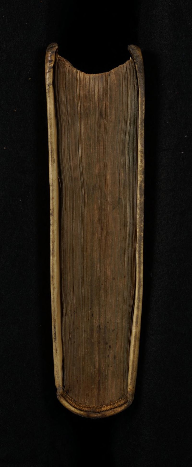 No text description is available for this image