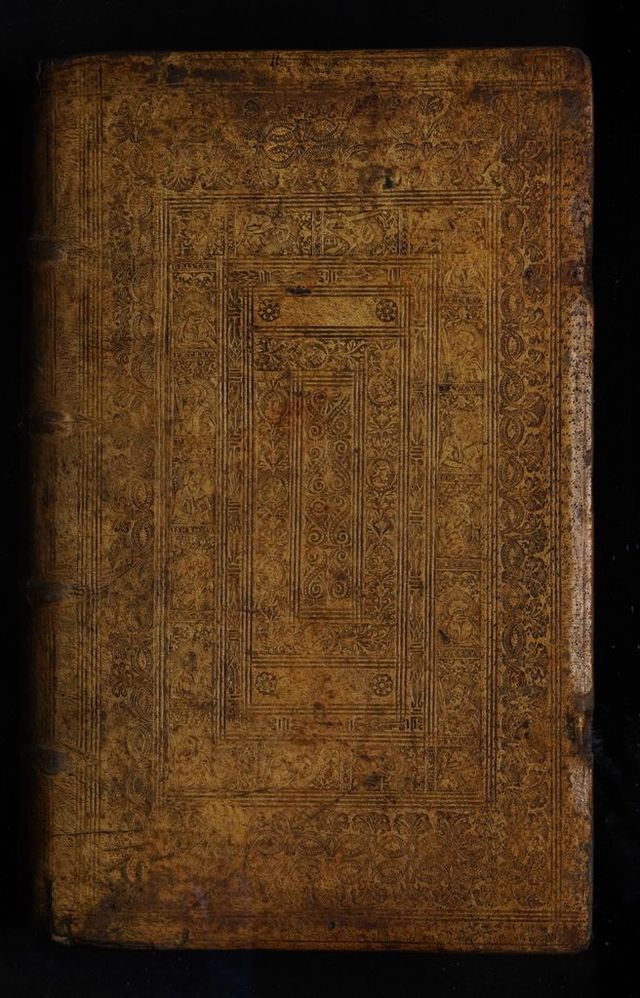 digitised image 1