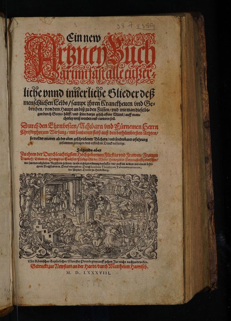 liche vnnd innerliche Glieder deß menſchlichen Eeibs / ſampt ihren Kranckheien bnd Ge⸗ brechen / von dem Haupt an biß zu den Fülſſen / vnd wie man dieſelbi⸗ gen durch Gottes huͤlff / vnd ſeine darzu geſchaffene Mittel / auff man⸗ cherley weiß wenden vnd curieren ſoll. ſo wol der neuwen als der alten geſchriebenen Büchern! vnd ſonderbarer erfahrung 8 juſammen getragen / vnd erſtlich in Druck verfertigt. Folgends aber auff ein netves mit einem leßli⸗ rer NEE , LE BE RER N , nl SE SEINE RT > =” N hun 2 Zar nicht nachzu * — — *