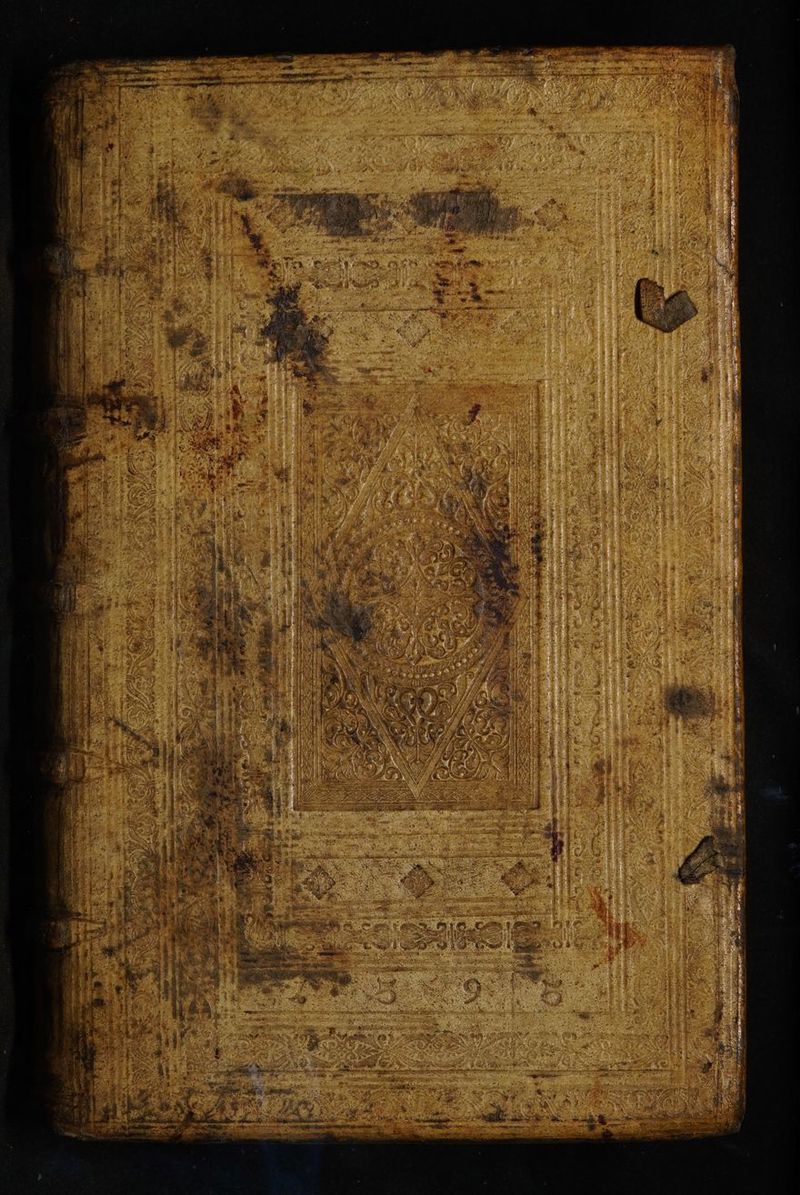 No text description is available for this image