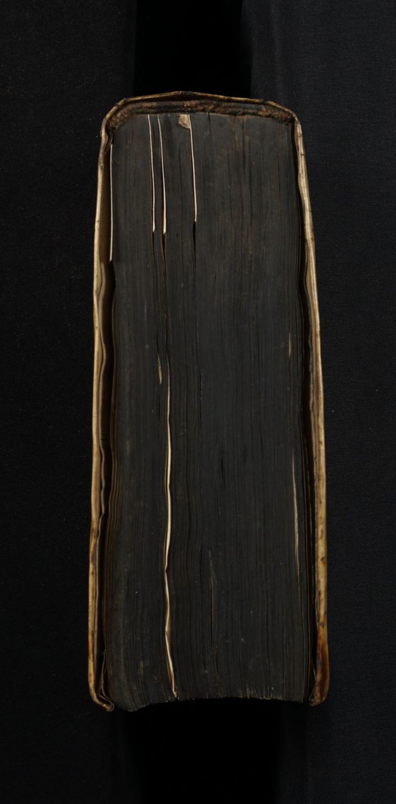 No text description is available for this image