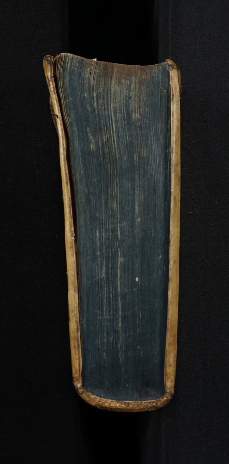 No text description is available for this image