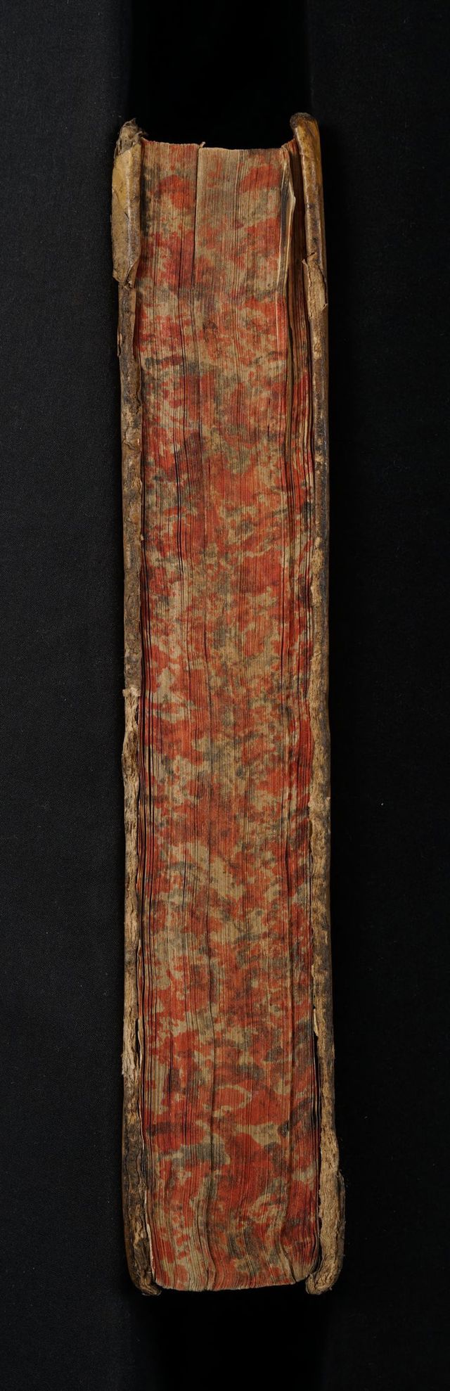 No text description is available for this image