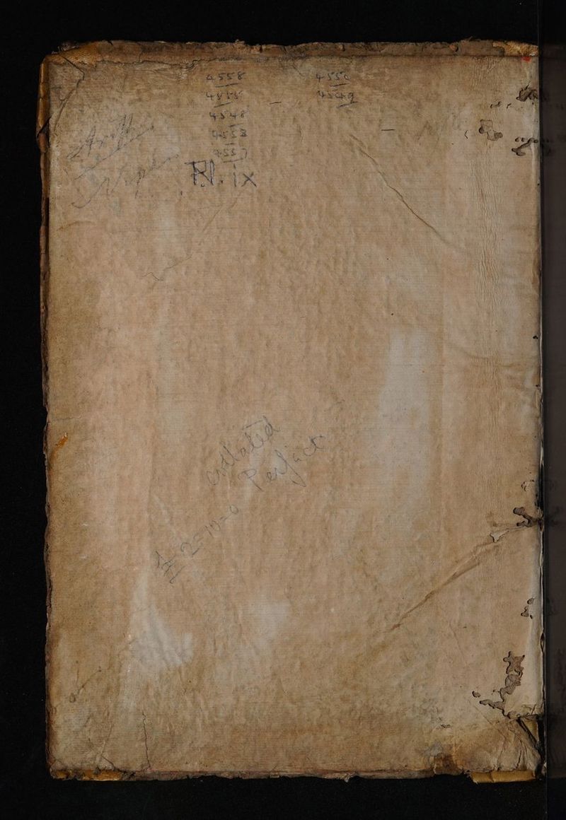 No text description is available for this image