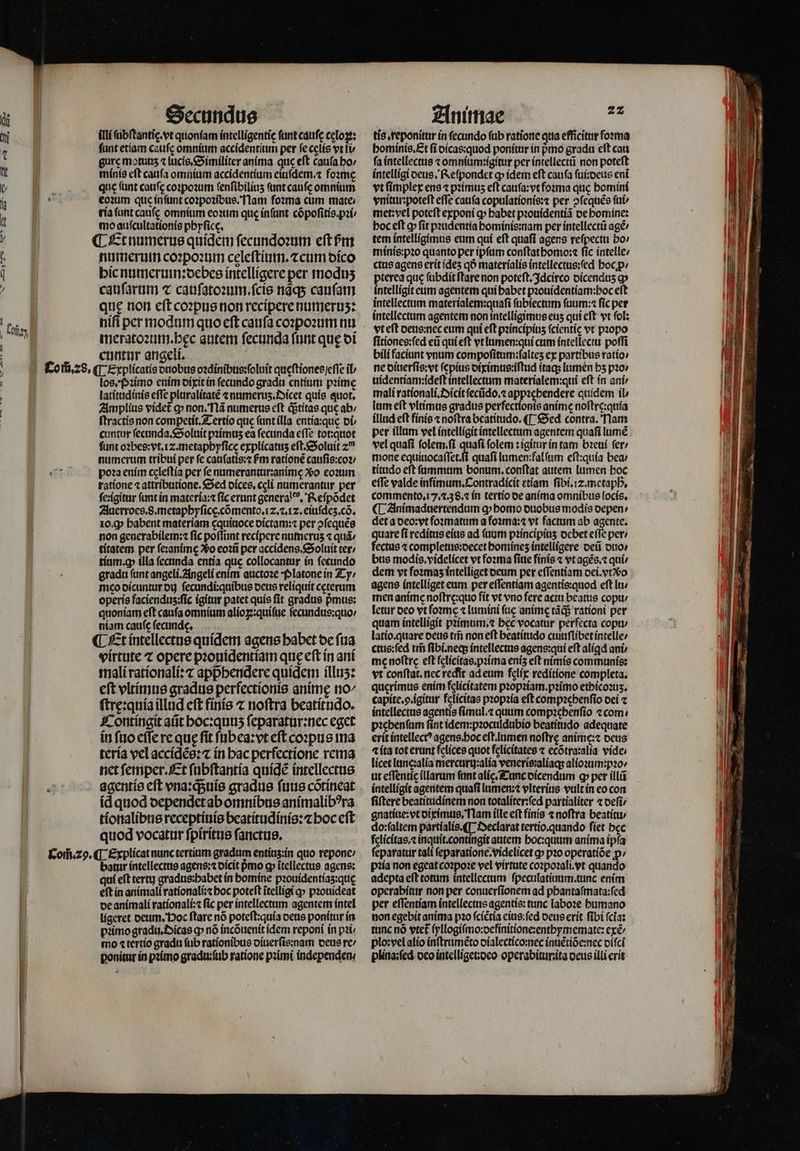 illi ſubſtantig. vt quoniam íntelligentic ftint cáufe celoꝝ: fant etiam cauſę omnium accidentium per fe celís vt ti gurc motunz ⁊ lucis. Similiter anima que eft caufa bo: minis eft cauſa omnium accidentium eiuſdem.⁊ foꝛmę que fant cauſę coꝛpoꝛum ſenſibiliuʒ (ant caufc omnium eoꝛum que infant coꝛpoꝛibus. Nam foꝛma cum mate ria (ant cauſe omnium eoꝛum que inſunt cõpoſitis.pꝛi⸗ mo auſcultationis phyſice. numerui coꝛpoꝛum celeſtium.⁊cum dico hic numerum:debes intelligere per moduʒ cauſarum ⁊ cauſatoꝛum.ſcis nãq; caufam que non eft coꝛpus non recipere numeruz: niſi per modum quo eſt cauſa coꝛpoꝛum nu meratoꝛum.bhęc autem fecunda ſunt que di cuntur angeli. los. Pꝛimo enim dixit in fecundo gradu entium pzime latitudinis cffe pluralitatẽ ⁊ numeruʒ.Dicet quis quot. Amplius videt᷑ ꝙ non. Nã numerus eft q;titas que ab / ſtractis non competit. Tertio que funt illa entia:quę ot cuntur ſecunda.Soluit pꝛimuzʒ ea fecunda efTe tot:quot funt o2bes:yt.rz.metapbyfice explícattis eſt. Soluit zu numerum tribui per fe cauſatis:⁊ Pm rationẽ cauſis:coꝛ / poꝛa enim cęleſtia per fe numerantur:anime vo eoꝛum tatione ⁊ attributione. Sed oíces, celi numerantur. per ſeꝛigitur ſunt in materia:⁊ ſic erunt generalꝰ . Reſpõdet Auerroes.8.metaphyſicę cõmento.i2.⁊. Iz. eiuſdeʒ. cõ. lo. ꝙ babent materíam cquitioce dictam:⁊ per ↄſequẽs non generabilem:⁊ fic poſſunt recipere numeruʒ ⁊ quá titatem per ſe:animę Vo eoꝛũ per accidens. Soluit ter / tium.ꝙ illa ſecunda entia que collocantur in fecundo gradu (unt angeli. Angeli enim auctoꝛe Platone in Ty / meo dicuntur di ſecundi:quibus deus reliquit ceterum operis facienduʒ:ſic igitur patet quis fit gradus pᷣmus: quoniam eft caufa omnium alioꝝ:quiſue ſecundus:quo / niam caufe fecunde, virtute ⁊ opere pꝛouidentiam que eſt in ani mali rationali: ⁊ appbendere quidem illuʒ: eft vltimus gradus perfectionis animę no^ ſtrę:quia illud eft finis ⁊ noftra beatitudo. Contingit ait hoc:qunʒ ſeparatur:nec eget in fuo effc re que fit ſubea:vt eft coꝛpus ma teria vel accidẽs:⁊ in bac perfectíone rema net ſemper. Et ſubſtantia quidẽ intellectus agentis eft vna:qᷓ;̃uis gradus fuus cõtineat id quod dependet abomnibus animalibꝰra tionalibus receptiuis beatitudinis:⁊ hoc cft quod vocatur ſpiritus ſanctus. batur intellectus agens:⁊ dicit pmo gp itellectus agens: quí eft tert) gradus:habet ín bomine pꝛouidentiaʒ:quę eft ín animali rationali:⁊ boc poteft ĩtelligi ꝙ pꝛouideat de animali rationali:⁊ fic per intellectum agentem intel ligeret deum. Hoc ftare nó poteft:quía deus ponitur in pꝛimo gradu.Dicas ꝙ nó incõuenit idem reponi in pꝛi⸗ mo ⁊ tertio gradu ſub rationibus diuerſis: nam deus re / ponitur in pꝛimo gradu:ſub ratione pꝛimi independen / tis.reponitur in fecundo (tib ratione qua efficitur forma hominis. Et fi oícas:quod ponitur ín pmo gradu eft catt fa intellectus ⁊ omnium:igitur per intellectũ non poteft intelligi deus. Reſpondet ꝙ idem eft caufa ſui:deus ent vt ſimplex ens ⁊ pꝛimuz eft cauſa:vt foꝛma quc bomini vnitur:poteſt effe caufa copulationis:⁊ per ↄſequẽs fat met:vel poteft exponi ꝙ babet pꝛouidentiã oe bomine: boc eft ꝙ fit pꝛudentia hominis:nam per intellectũ agé/ tem intelligimus eum quí eft quafi agens reſpectu bo: minis:pꝛo quanto per ipfam conftatbomo:« fic intelle; ctus agens erit ideʒ qð materialis intellectus:ſed hoc ꝓ / pterea que ſubdit ſtare non poteſt.Idcirco oicendus c» intelligit eum agentem qui babet pꝛouidentiam:hoc eft intellectum materialem:quaſi ſubiectum ſuum:⁊ fic per intellectum agentem non intelligimus euz qui eſt vt fol: vt eft deus:nec eum qui eft pꝛincipiuʒ (cíentic vt pꝛopo ſitiones:ſed eũ qui eſt vt lumen:qui cum intellectu poſſi bili faciunt vnum compoſitum:ſalteʒ ex partibus ratio / ne dinerſis: vt ſepius diximus:iſtud itaq; lumen bs pꝛo⸗ uidentiam:ideſt intellectum materialem:qui eft in ani⸗ mali rationali, Dicit ſecũdo.⁊ appꝛehendere quidem il⸗ lum eft vltimus gradus perfectionis anime noſtrę:quia illud eft finis ⁊ noftra beatitudo. ¶ Sed contra. Nam per illum vel intelligit intellectum agentem quafi lumé vel quafi ſolem.ſi quaſi folem :igítur in tam bꝛeui ſer / mone equiuocaſſet.ſi quaſi lumen:fal ſum eſt:quia bear titudo eft ſummum bonum. conftat autem lumen boc effe valde infimum. Contradicit etiam ſibi. 12. metaphᷣ. commento.17. . 38. ⁊ in tertio de anima omnibus locis. ¶ Animaduertendum ꝙ homo duobus modis oepen: det a deo:vt foꝛmatum a foꝛma:⁊ vt factum ab agente. quare fi reditus eius ad ſuum pꝛincipiuʒ debet effe per: fectus ⁊ completus:decet bomines intelligere deũ duo / bus modis.videlicet vt foꝛma ſiue finis ⁊ vt agẽs.⁊ qui / dem vt foꝛmaz intelliget deum per eſſentiam dei. vt vᷣo agens intelliget eum per eſſentiam agentis:quod eft lu men anime noſtrę:quo fit vt vno fere actu beatis copu / letur deo vt foꝛmẽ ⁊ lumini ſue anime tãq; rationi per quam intelligit pꝛimum.⁊ bec vocatur perfecta copu / latío.quare deus trf; non eft beatitudo cuiuſlibet intelle⸗ ctus:ſed tm̃ ſibi.necq intellectus agens:qui eft aligd ani / me noſtre eft felicitas.pꝛima enís eft nimis communis: vt conftat. aec redit ad eum felix reditione completa. quęrimus enim felicitatem pꝛopꝛiam.pꝛimo ethicoꝛuʒ. capite.ↄ.igitur felicitas pꝛopꝛia eft compꝛehenſio dei ⁊ intellectus agentis ſimul.⁊ quum compꝛehenſio ⁊ com: pꝛehenſum ſint idem:pꝛoculdubio beatitudo adequate erit intellect? agens. hoc eſt. lumen noftrc anime:⁊ deus ⁊ ita tot erunt felices quot felicitates ⁊ ecõtra:alia vide lícet lune: alia mercurij:alia veneris:aliaq; alioꝛum:pꝛo⸗ ut eſſentie illarum fant alię.Tunc dicendum ꝙ per illũ intelligit agentem quafi lumen :⁊ vlterius vult in eo con fiftere beatitudinem non totaliter:ſed partialiter ⁊ deſi / gnatiue:vt diximus. Nam ille eſt finis ⁊ noſtra beatitu / do:ſaltem partialis. ¶ Declarat tertio. quando fiet bec felicitas.⁊ inquit.contingit autem hoc:quum anima ipfa ſeparatur tali ſeparatione.videlicet ꝙ pꝛo operatióe p: pꝛia non egeat coꝛpoꝛe vel virtute coꝛpoꝛali.vt quando adepta eft totum intellectum ſpeculatiuum.tunc enim operabitur non per conuerſionem ad phantaſmata:ſed per eſſentiam intellectus agentis: tunc laboꝛe humano non egebit anima pꝛo ſciẽtia eius: ſed deus erit fibi (cia: tunc nó vtet᷑ ſyllogiſmo:definitione:enthymemate:exẽ plo:vel alio inſtrumẽto dialectico:nec inuẽtiõe:nec diſci plina:ſed deo intellige: deo operabitur:ita deus illi crit