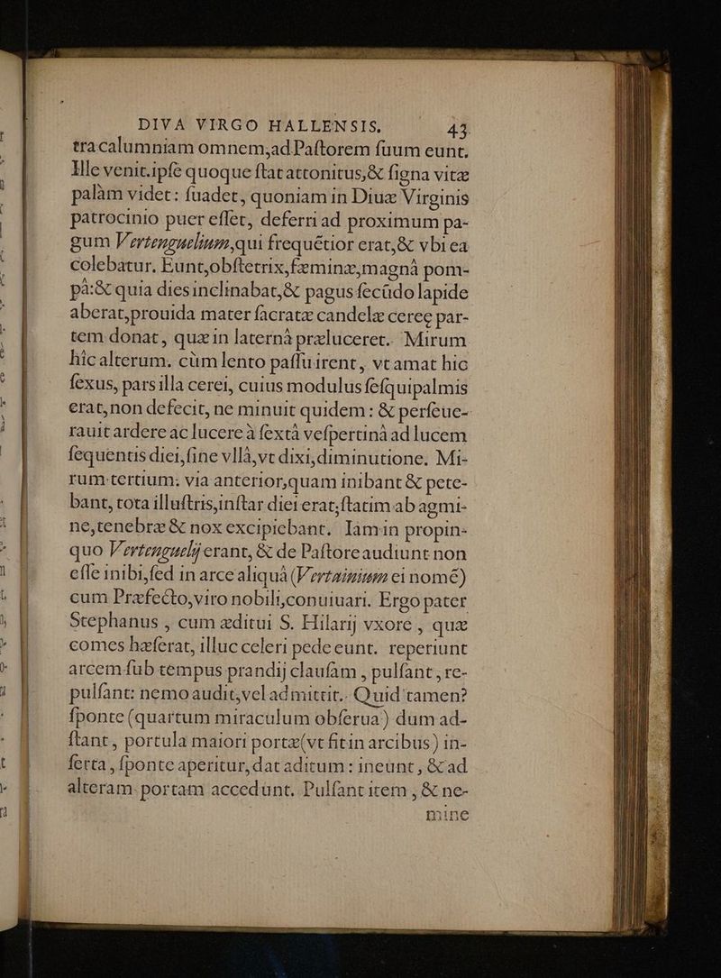 tracalumniam omnem;adPaftorem fuum eunt. Ille venit.ipfé quoque ftatattonitus& figna vitz palàm videt: fuadet, quoniam in Diux Virginis patrocinio puer effet, deferri ad proximum pa- gum Pertenguelium qui frequétior erat,& vbi ea colebatur. Euntjobftetrix,fxminz,m agnà pom- pà:& quia dies inclinabat;& pagus fecüdo lapide aberat;prouida mater facratz candelz ceree par- tem donat, quz in laternà przlucerec.. Mirum hicalterum. cüm lento paffuirent, vt amat hic fexus, parsilla cerei, cuius modulus fefquipalmis erat,non defecit, ne minuit quidem: & perfeuc- rauit ardere ac lucere à fextà vefperaná ad lucem fequentis diei, fine vllà,vt dixi, diminutione. Mi- rum tertium: via anterior,quam inibant & pete- bant, tota illuftris,inftar dier erat;ftatim ab agmi- ne,tenebrz & nox excipicbant. Iamin propin- quo Vzrtenguelij erant, & de Paftoreaudiunt non cfle inibi,fed in arce aliquà (Vertaimiumm ci nom) cum Przfecto,viro nobiliyconuiuari. Ergo pater comes haferat, illuc celeri pedeeunt.. reperiunt arcem fub tempus prandij claufam , pulfant , re- pulfant nemoaudit,veladmittit.. Quid tamen? fponte (quartum miraculum obferua) dum ad- ftant, portula maiori portz(vt fitin arcibus) in- ferta , fponte aperitur, dat aditum : ineunt , & ad alteram. portam accedünt. Pulfant item , & ne- min