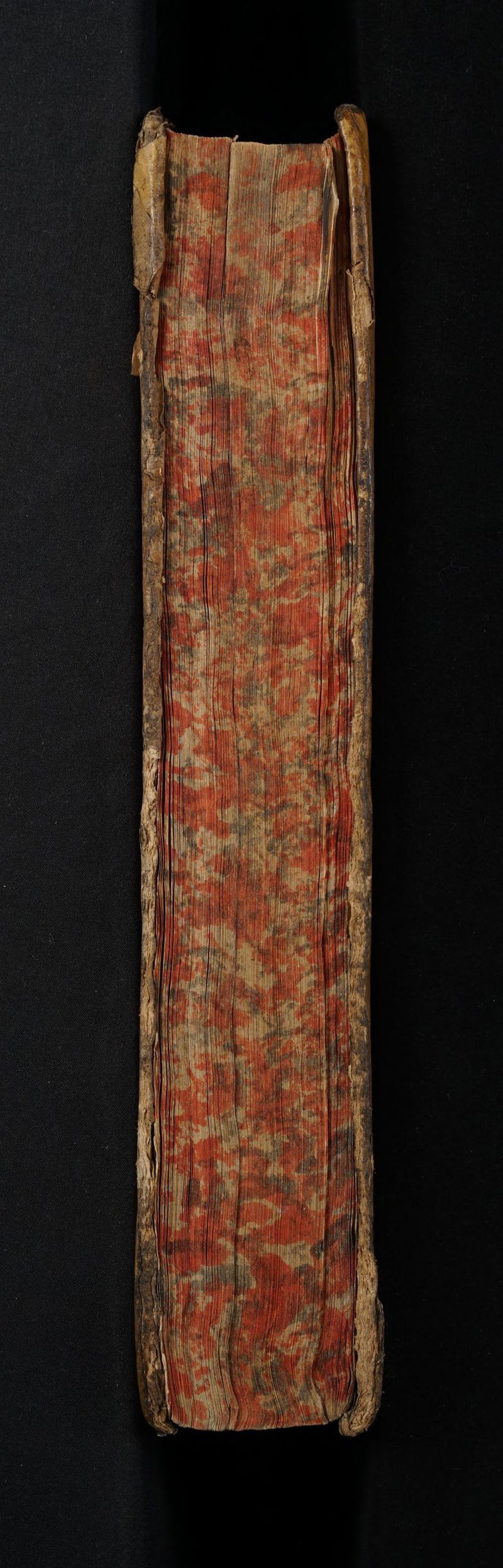 No text description is available for this image