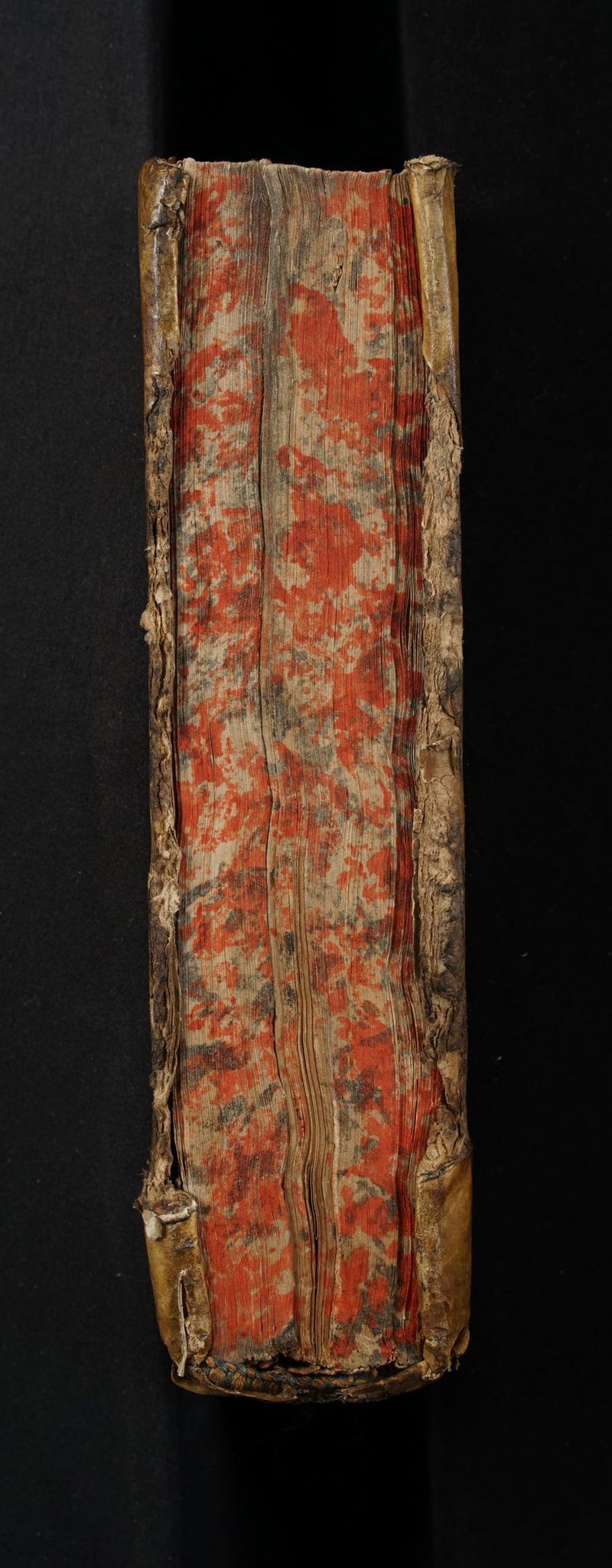 No text description is available for this image