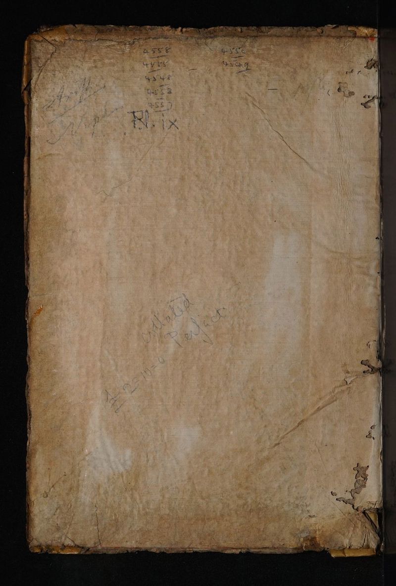 No text description is available for this image