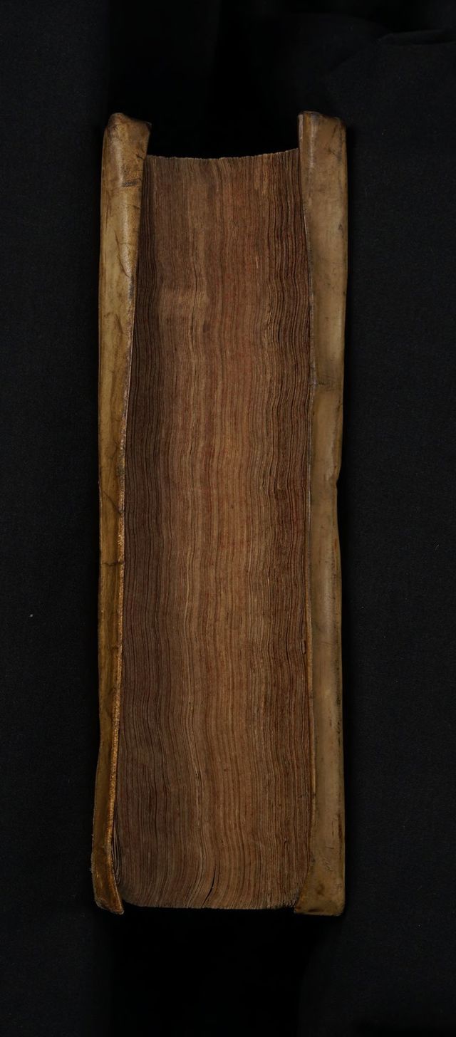 digitised image 3