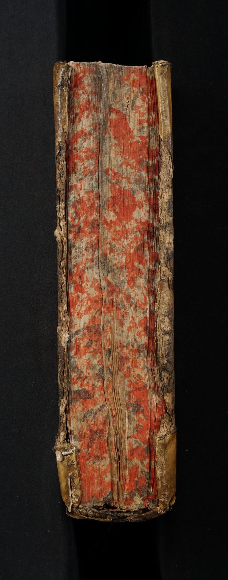 No text description is available for this image