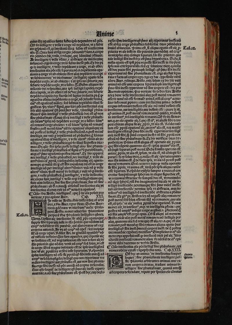 2 — cuius ille opatiões ſunt:e ſubto ipfo dependere nó pót. d vo ĩtelligere « velle e coꝛꝑe nó depẽdent, vt a ſubie cto / pſpicuũ eſt, qꝛ imediati illo, ſubm eft intellectiua aĩa. S. Quia ſunt abſqʒ coꝛꝑis ↄditionibꝰ: ſunt.n. coꝛpo ris oditióes hic, ⁊ nũc, ⁊ reliquę, que ĩdiuiduũ ↄſtituũt. At intelligere ⁊ velle vliter, ⁊ abftracte aie intellectiue inſunt:nõ ergo in coꝛꝑe: vt in ſubto ineſſe pñt. Ex bis ps c lz intelligere, ⁊ velle depẽdeant a coꝛꝑe, vt ab obto / intellectiua aia pót effe ſeparata:nõ.n.depẽdentia opa / j | tionis a coꝛꝑe vt ab obiecto ifert aĩaʒ depẽdere a coꝛꝑe e 2 vt ſubiecto:naʒ (vt dicebamus) ĩtelligetie oꝑatio fcóa depẽdet a cęlo, vt ab obiecto: ⁊iñ ipfa nec pᷣmarie, nec ſcdarie depẽdet a celo, vt a ſubto. . Scbm aliquos fn tellectio dei reſpectiua, qua ipfe itellígit lapideʒ / depẽ / det a lapide, vt ab obto:t tñ deꝰnec pᷣmarie, nec ſcdarie depẽdet a lapide:pęc fuerũt bñ ſuꝑius deducta.pʒ g q» an. oꝑatiõis obtiua depẽdentia a coꝛꝑe, nõ ocludit foꝛmã, | cui? eftopatio:cé máles : fed ſubtiua ocpedetía illud fi gnificat. pʒ vlteriꝰ ſignũ, quo ſciri põt intellectinã alas bie aliã oꝑationẽ qfi pma pter velle, ⁊ intelligẽ phãta / 22 ſtica:eẽ ipm intelligẽ ⁊ velle phãtaſticũ: boc eft qÓ non finc pbátafmate cft.nas cii ex intelligẽ ⁊ velle pbátafti cis béam^ipfas nó depẽdere a coꝛꝑe, vt a ſubto: ſcimꝰ eã remané coꝛꝑe aboleto: ⁊ cii ſciamꝰ ipſaʒ nó remanet fruftra poft moꝛtẽ:ſcimꝰ eã he oꝑationẽ aliquã:quę cũ nó poffit cé ĩtelligẽ, ⁊ velle phãtaſticũ:nõ.n.poſt moꝛtẽ intelligit, aut vult p depẽdentiã ad pbátafma.g ſcimus opationé illas eẽ intelligere, « velle alter? rõnis ab in / telligere, ⁊ velle phãtafticis:ꝗd vo illud fit:poftea dice / mus. Sz qũo ftet ipfas poſſe ĩtelligẽ oino ſine phanta / ſmate:⁊ intelligẽ phãtaſticũ eẽ ſignũ eiꝰſeparabilitatis, atqʒ ci? pᷣme oꝑationis:poſtea dicemꝰ. Ex his apparet nec intelligẽ, ⁊ velle pbátaftícii nec intellige, velle al. teriꝰrõnis eẽ ꝓpꝛiã, ⁊ inſeꝑabilez ĩtellectiuę aic oꝑatio / nem: pʒ qꝛ nullũ illoꝝ eft ſibi coeuũ:naʒ dũ eft in coꝛꝑe intelligit nó per intelligẽ alteriꝰrõnis:⁊ vulc nó p velle alteri? rõnis. Poſt moꝛtẽ vo itellígit,z vult nó p intelli gere, velle pbátafticii.g intelligere, velle itellectiuc aic cocua ſunt, intelligẽ velle coz intelligibilium:que fant actu itellecta fiue fint fíne phãtaſmate, ſiue nó ſine phãtaſmate: ab h;. n. nunq; abfoluit intellectiua aia; vt intellectiua aĩa:duz exit ad ei? actuales oꝑationẽ. (io ?ba Ariſto. íntelligant / que p de aĩa poſuit pꝛo veritate, ⁊ pꝛo opione Auer. Cap — XXI. Js viſis de Ariſto. bis diſſerẽduz eẽ arbt I! tro2,t Pm Auer. ⁊ pꝛo Vitate.socóm Auer i roem gdẽ:nam vt dicebamꝰ auẽte bilo: ix» poni/Ariſto. mouet aduerſus *f»latonicos perperã vba Phedonis ítelligétes qónes. Utruz f.ipfits aic intellectiuę fit alid ppa opatio:que.so ſupple fibi ſeparatiz infit in illo pozi:in quo nódum ad coꝛpꝰ deſcẽdit:vt ifti putabãt, qui aĩas creatas añ eaꝝ coꝛpoꝛa autumãt. An v5 ari coꝛpꝰ nó opet : fed incipiat ſik cii coꝛpe opari. Rñdet Ari. oe ꝗbuſdã opatiõibꝰ nó eẽ difficile definire:q̃les funt oꝑatiões, que cõpetũt aic vt ſenſitiua eft, vel vegetatiua:naʒ iſte non inſunt aicín illo pꝛioꝛi:in quo nodus venit ad coꝛpꝰ: ſed ſoluz, vt eft in coꝛpe. Sed magna dubitatio eft de ipfo intelligẽ:nã boc vr̃ aĩc ꝓpꝛiũ:ita vt fibi infit ſeparatim. Reſponder . n ̃¶ LLL ĩ Lt TT Y 6 25.2 Y coꝛpꝰ deſcẽdet:qñgdez ĩtelligẽ:quo nos experimur res mãles intelligere:aut pbátafia eſt, aut non fine phanta / ſia. ergo fibi ineſſe nó põt anteq; ad coꝛpus oefcendat. Ecce qũo loquit᷑ de ĩtelligere:qð pmo aic ineſſe experi mut:tale.n. nõ fine phátafmate eſt. Poſt hec, cuʒ decla / raſſet ipm intelligere:qð pᷣmo alc experimur ineffenó cffe abfqs cozpe pbátaftico:fübfcribit duas ↄditidales inuicẽ abiunctas. zima eft, fi aliqua oꝑatio eft aic ꝓ / pꝛia:ita vt aie inſit in illo pꝛioꝛi: in quo nódus ad coꝛpꝰ venit:ipſaʒ aia5 cõtingit ſeparari.ſ in illo pꝛioꝛiin quo tale ĩtelligẽ fibt ineſt: hec eft pma bypotbetica. Scda, ſi nulla opatio eft ipſi ppa:vt poffit fibi ineſſe in illo poꝛi: ipſa non erit ſeparabilis:ſed ex ſolutione oicte.q.nulla eft boc pacto ſibi ꝓpꝛia:qm̃ itelligé: qð pᷣmo fibi ineſſe experimur:nõ ſine phantaſmate cft. ergo aia fuit ſepa / rata:⁊ facta añ coꝛpoꝛa:pʒ ergo ex hac expoſitiõe nibil cõtra Auer. relinqui. Ariſto.eniʒ folum ex his bie vult animã nó effe ante coꝛpoꝛa ſeparatã:qm̃ intelligere:q pᷣmo fibi ineſſe experimur nó fine coꝛpoꝛe eft: bec pꝛo Auerrois opinione.pꝛo veritate vo debes fcire Ariſto telez bene velle intellectiuã aĩaʒ poft moꝛtẽ remanere: aſſerit tamẽ nó effe foxmalt animã, niſi cũ coꝛpꝰ actua / liter infoꝛmat: ꝓpterea cum intellectiua anima deſinit coꝛpus infoꝛmare:deſinit effe aia : nó tamẽ deſinit cfe intellectus, aut intelligétía aut deſinit effe : quare I5 id, qð anima eſt, poſt moꝛtẽ remaneat:nõ quides, vt aĩa:ſʒ vt intellectꝰ, vel intelligẽtia remanet. Qð vo ita ſit:mo⸗ uet. g. an ois opatio aic.f.quc eft ei^, vt aĩa:ſit fibi t coꝛ⸗ poꝛi cõis:an aliqua fit aic ꝓpꝛia, vt aĩa cft. Rñdet nul / lam effe ꝓpꝛiã opationé aic, quatenꝰ aia eft, naʒ marie intelligere effet:qó pmo fibt ineſſe experimur:intelligẽ enís ineft ſibi, ds pᷣmũ coꝛpoꝛi ineſt:⁊ tfi fibi ꝓpꝛiũ non eſt:cũ nó fine phataſmate ſit. Ex his verificat duas by» potheticas. Pꝛima eſt:ſi aliqua eft operatio aic ꝓpꝛia: que ſibi cópetit quatenus aía eſt: ipſaʒ quaten? aía cft, cõtingit ſeparari poft moꝛtẽ. Scða fi nulla operatio eft anime ꝓpꝛia, vt aia eſt, ipſam, vt aia eft, nó cõtingit fe; parari: f5 ex folus dicte.q. nulla eft aic operatio:quate: nus illa anima eft. G de facto ipfa, vt aia nó poteſt poft moꝛtẽ remanere. Sed occurres dato ꝙ nulla operatio fit (ibi ꝓpꝛia, vt anima eft, vtrũ pót ipfa aliqua ratiõe effe ſeparata . Reſpõdet exẽplo ſumpto a recto:qð con cretiue ſumptũ tangit fpberam in aliquo ſigno:hoc eft, vt rectunnabſtractiue vo ſumptũ boc eft, vt rectitudo: nó tãgit ſpherã, niſi Pm imaginationẽ:ita aia vt aia tn telligit intellectiõe ↄcretiua:quę ſibi pmo videt ineſſe: tali aũt intellectiõe ↄcretiua tpfa vt abſtracta, atqʒ in / tellectꝰ nõ intelligit:ſed intellectide abftracta a pbáta/ ſmate. Ex qb? ps Ariſtoteleʒ nó negaſſe alaʒ remanere poft moꝛtẽ:ſed folus aſſeruit illã nó remanere, quo aĩa eſt, cũ ipſa (vt aĩa nullas ꝓpꝛiã hat opationẽ. Rema manet aũt, vt intellect^,atqs vt intelligetia pfecta : que poſtea nó ampli? indiget coꝛꝑe:acgſiuit.n.ꝑfectionẽ:qᷓ nó fibi ampliꝰeſt cozpe opus. Qð ft aliqui ad mentem Ariſto.dicãt aĩaʒ poft moꝛtẽ remanere:nõ ĩtelligũt per aĩaʒ, quatenus aĩa:ſed rem:quę eft aía.res.n.que eft aia: remanet poft moꝛtẽ:qꝛ fibi remanet aliqua opatio pter intelligẽ:qð fibi ineft pmo:cii coꝛpoꝛi ineft: oe d poftea oicemus:bác erpónes ooctifim? Simplicius in ei? cõ / mentarus 0 q intellectũ dicit ꝑtẽ aĩc.Ideo cõcedit intellectũ remanere:aĩam vo nõ:ſed de ei? opi nione alibi hactenus de verbis Ariſto. niones:vbi de extaſi ⁊ lipopſychia nota. Cap. XXII. DO ſt hec an anima (de intellectiua femper A loquo) ſine phantaſmate intelligere pof: | ſit:Platonici arbitrantes animas ante ea / * rum coꝛpoꝛa creatas, tradunt animas in / . telligere fine pbantafmate, quoniã anteq; ad coꝛpoꝛa deſcendant, vtpote per ſpecies eis cõnatas Opinio Plato.