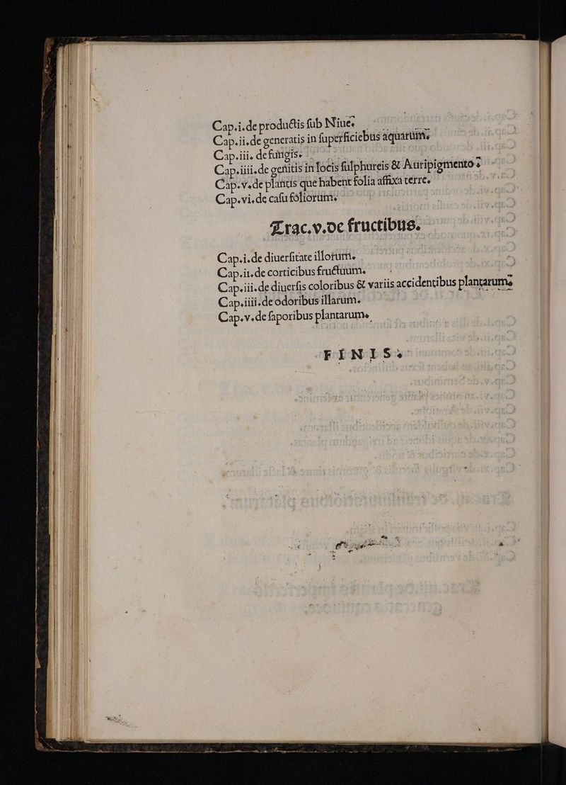 — —— C T —— WU T CER — Uu Cap.i.de produéis füb Nüiües o oon nUa Cap.ii. de generatis in fuperficiebus aquárüm. Cap.iii, defungis. ti ora Cap. iiii.de genitis in locis fulphureis &amp; Autipigmento? Cap. v. de planus que habent folia affixa terre. Cap. vi. de cafu foliorum. A.trac.v.oc fructibus. Do — — Cap.i.de diuerfitate illorutn. . Cap.it.de corticibus fructaum. Cap. iii.de diuerfis coloribus &amp; variis acci dentibus plantarums Cap.iiii.de odoribus illarum. | TET Cap. v.de faporibus plantarum. FINIS.
