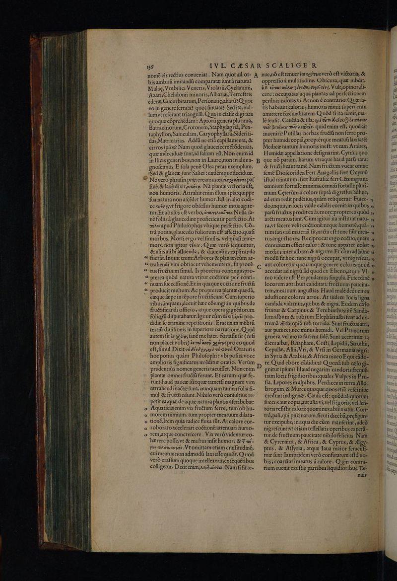 ——————— uu ns cr cite m terme — aic gm pota nt geo oeede cm ma T ^ aet p D bisambitü imitandü comparatz tunt à natura? Malug; V mbilici Veneris, Violarü, Cyclamini, Azari Chelidonii minoris, Alliarig, l'errcftris ederz, Cucurbitarum,P erfonatigjaliarü? Q uot eo in genereferrata? quot finuata? Sed itanul- lumvt referant triangulíi. Q ua in clafle digitara quoque cóprehédam : Apiorü gencra plurima, Barrachiorum, Crotonem;Staphyfagria, Pen- taphyllon, Saniculam, Caryophyllata;Sideriti- das, Matricarias. Addà nc etià capillamenta, &amp; cirros ipfos? Nam quod glaucefcere fródesait, quz indeciduz funtid faltum eft.Non enim id in Ilicis generibus,non in Lauro;non inaliis a- gnoícimus. E fola pené Olea petas exemplum. Sed &amp; glauc&amp; funt Salici : egdémque deciduz. *' Ne veró phrafin pretereamuszo mc areíree: paf fiué.&amp; laxe dixityauien. Nà plante vi&amp;oria eft, non humoris. Attrahit cnim illum 1pfa:quippe fua natura non aícédet humor.Eft in alio codi- ce xoa nt frigore obfcfíus humor intusagite- tur.Etabufus cft verbo, &amp;av7:2 «77. Nulla fa- né foliisà glauccdine proficitcitur perfc&amp;io. At Téves apud Philofophos vbique perfectio. Có- trà potius;glaucedo foliorum eft affe&amp;io;quafi morbus. Morti ergo vel fimilis, vel-quafi temi- mors. non igitur 7c . Qv veró fequuntur, &amp; aliisalibi affuenda , &amp; diiucidius explicanda * fuerát.Inquit enim:Arbores &amp; plantz;cüm at- « trahendi vim obtinent vehementem, fit proué- « tusfru&amp;uum fimul. Is prouétus contingit; pro- « prerea quód natura vtitur coctione per conti- « nuam ífucceffioné.Etin quaque co&amp;ionefru&amp;ü « producit multum. Ac propterea plantz quada, ezque fepe in tépore fru&amp;ificant. Cum fuperio ribus;inquam,decuit hzc cóiungi:in quibus de fru&amp;ificandi officio , atque opera gignédorum foliorü difputabatur.Igitur cüm dixit; oue: pro- didit fe crimine repetitionis . Eratenim mebiü tertiü diuifionis in fuperiore narratione. Q uid autem fit&amp;» 4£&amp;o, fané me latet. fortaffe fit ( nifi non placet vobis) &amp; qu aur» 5eórp: pro eo quod eft, limul. Dixit zz 4Yv4 eoi 7à qvi. Oratoris hoc potius quàm Philofophi : vbi pofita voce amplioris fignificatus in:éditur oratio. Vcrüm prudentiüs nomcn generis tacuiffet. Non enim runt;haud pauce fütque tametfi magnam vim attrahendi na&amp;z funt, nunquam tamen folia fi- mul &amp; fru&amp;à edunt. Nihilo veró confultius re- petitea,qua de aqua natura plantis afcribebat: « Aquaticas enim vix fru&amp;um ferre, tum ob hu- « tüoné.Item quia radice fluxa (üt. At calore cor- « roboratoaccelerari coctioné:attenuari hümo- « rem,atque concrefcere . Vix veró videntur co- ' hzrerepoffe,vt &amp; multusinfit hümor; &amp; 7 «- pov «AeTusc uos. t omittam etiam craffitüdiné, cui meatus non admodá laxi effe queat. Q uod veró craffum quoque intellexerit;ex fequéibus colligetur. Dixit enim,Aezdu/eza . Nam fi fit te- D oppretfio à multitudine. O bícura, que tubdit. &amp;A. oU mwe mí ry d veces quj Cea yd. V ultopinor;di- cere: occupatas aqua plantas ad perfcétionem perduci caloris vi.Atnon é contrario: Q uz ía- tis habeant caloris ; humoris nimii fuperuentu amittere foecunditatem. Q uód fi ita 1enfit,ma- lé fenfit. Cauéda &amp; illa: 444 vue ebelax c) t» meas quis [oráyeus Uis Aez]sis. quid enim eft, quodait inueniri? Pufillas herbas fru&amp;ü non ferre pro- pier humidi copid;proptérque meatu laxitaté? Medicz tantum humoris ineft: vt eam Arabes, Humidz appellatione defignarint. Cytifus quo que nó parum. harum vtraque haud pará rara: &amp; fru&amp;üficant tamé.Nam fru&amp;um vocat omne femé Diofcorides. Fert Anagallis:fert Ocymü iftud minutum: fert Eufrafia: fert Cétumgrana omnium fortaffe minima; omniü fortafle pluri- mum. C«terüm à colore füprà digreflus adhec, ad eum redit pudétius,quàm reliquerat: Fuíce- dojinquisin locis valde calidis euenitzin quibus parü fructus proditex Lumore:propterca quód arci mcaus funt. Cüm igitur ita inftituit natu- ra,vt facere velit co&amp;ioné:neque humoié;quáa- tum fatis ad materiá fit,nadia cft:tunc fiit mea- tusangufliorcs. Reciprocat ergo cc&amp;io,quam conunuam cfficit calor: &amp; tunc apparet color medius interalbum &amp; nigrum.Et cüm ad hunc modá fit hoc: tunc nigráü occupar, vt nigrcfcat, aut coloretur quocunque genere coloris;qucd accedat ad nigrü.Id quod ex Ebenojatque VI- mo vidcre cft Perpendamus fingula, Fuícediné locorum attribuit caliditati: frrétuum paucita- tem,meatuum anguflias Haud malé deducit ex áduftione colores atros. At iifdem locis ligna candida videmus,quibus &amp; nigra. Ecdcm celo fruitur &amp; Carpinus &amp; Terebinthus:ité Sanda- lumalbum &amp; rubrum.Elephátialbi funt ad ex- tremà ZEthiopiá fub torrida. Suntfra&amp;usatri, aut puniceinec minus humidi. V el Prunorum genera, vel mora facient fide. Sunt acerrima ra dicesalba, Rhaphani, Cofti, Lepidi, Struthii, Cepullz, Alli V ri, &amp; Vrfiin Germania nigri: inSyria &amp; Arabiis,&amp; Africa niuco Equi cido- re. Q uid ebore cádidius? Q uon&amp; fub calo gi- gnitur ipfum? Haud negarim candoris frequé- fia, Lepores in alpibus, Perdicesin terra Allo- brogum,&amp; Mures quoque:quosetiá vefci niue creduntindigenz . Cauta cft : quód aliquorum fuccusaut copia;aut alia vi,vel frigoris, vel len- toris refiftit calori:xquominusabfümatur.Con- trà;pali,qui pifcinarum ficuti dicebáprefigun- tur excipulis, inaqua diu cüm manferint , adeó nigrefcunt:vt etiam teffellatis operibus expeta- tur.de fru&amp;uum paucitate nihilofelicius. Nam &amp; Cyrcnaica , &amp; Africa, &amp; Cyprus, &amp; ZEgy- tus, &amp; Aflyria; atque Iaua maior feraciífi- mz funt Iampridem veró confutatum eftà no- bis; coar&amp;ari meatus à calore. Q uin contra- rium euenit exuftis partibus liquidioribus. Te- nuis » » » » Jat