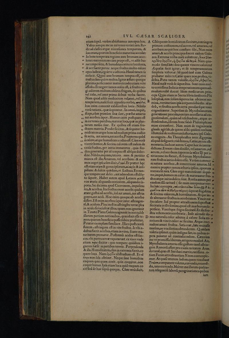 EM i 4 P m NH IMAPIHAPILL pP T Video nanque me in extremo verlariiam. Re- dit ad claffes atque receníiones temporum, &amp; locorum;quorum beneficio maturitas accedat: « In benetemperata regione ante brumam acce- «€ lerarimaturitater:cüm prope eft , vt adit bo- « npa temperátia, &amp; humiditas extiterit luculenta, « &amp;aerfuerit purus: neque fru&amp;us multo calore « opus habeat;egeátve co&amp;ionis.Haud tamen ía X üisfacit. Q uod ante brumam tempus eft eius tra&amp;us fanequàm multus.Igitur zftate quoque plurima perficiuntur maturefcendo:etiam vere affe&amp;o. Et negare tamen auíus eft, à fructu exi- gi calorem multum:oblitus frugum, de quibus vel folis , vel inter prima debuit verba facere. Nam quod addit mediocrem velanni , vel loci temperiem,malé fecit.appofito verbo, er/4ta. hoc enim conuenit calidioribus locis . Nihilo à veró tutiora, qua fequuntur. In omni, inquit, « flirpecüm primüm fatz funt, przftat amarus « miditatem:atque huncad modum prima co&amp;io « fitacris, autamarajautacerba.P ropterea quód «c à calore;atque humiditate co&amp;io eft. Càm veró « Vicerithumor,&amp; ficcitas calorem:eft eadem de « €auía fru&amp;us, per initia immaturus .quia fru- «, Cusgeneratio per id tempus eft abíque dulce- primam co&amp;ionem;vel acrem,vel amaram, vel acerbam.nequit hoc conflare fibi. Non enim amari;&amp; accrbi principia dixerit eadem Gale- nus.Extrema verba malé cohzrent , $7«y 3 im- xealds n vyei]us , 3, Enef]ns qu Sepp. Nam quo- modo fimul hzc duo queant vincere calorem? ZEqualia facit igitur, vt fit temperamentum fimplicis vi&amp;toriz . Id quod fané cum Galeno probatur mihi:tu Carfar quare non probes, vi- debis. Puto tamen voluitle ,vye7»s ,8 foei7uc. Haud malé veró de faporibus. Sunt enim mul- to certiffima Indicia temperationum:quemad- modum re&amp;é docuit Idem medicorum prin- ceps Quin etiam in Sacris libris fan&amp;ioris Phi lofophig,non folàm fapores fua. obtinent no- mina, verumetiam ipfa corpora fubieda ; id a- deó, vt fru&amp;us Mi certa peculiarfque voce cognofcantur. Superfunt de Myrobalanorum generatione paucula,non tam neceffaria ad co- vllum:fed de recétiorumhiftoria,nec ipfi Gale- no cognita. Án Jseophmltgs inter /Egyptias aliquid defignarit,vidcbimus, Carfarjin uis có- mentariis.Inchoat autem Caput hocà contra- di&amp;ione.Etenim cüm dixiffet, vclamarum vel acrem velacerbum foporemie ezw 2/) per i- manca eft illa: Amarum, vel acerbum : &amp; cam mox auget ipfe,cüm dixit; gw. Et przter hec eft etiam svoy;&amp; genus ipforum;awewezy: &amp; infi- pidum: &amp; dulcia quedam,vt La&amp;uca. Eo nan- que tempore aut dulci ; autadmodum eftdilu- to fapore. Habet autem apud Latinos acerbi vox ztatis aliquando notionem , aliquando ía- poris.Sic dicimus apud Ciceronem, impolitas res,&amp; acerbas. Ita fru&amp;us erunt acerbi quidam atate guftui nó acerbi, fed aut amari, aut aftrin gentesaut acidi. Hoc enim quoque ab acerbo differt. Eft enimacerbus fapor inter aftringen- té &amp; acidum.P lus ineftin aftringéte terra: plus in acido ferucícétiz illius;quam non ignorauit in Timzo Plato:Galenus agnouit in aceto,fub illarum partium notionibus , quas dixit effe te- nues,quarum bencficio poffe übire profitetur. Petatur exemplum familiare . Illico poft exutü florem ; aftringens cft in vitefru&amp;us.Is vbia- dultus fuerit acerbus,etiam in vino, fiante ma- curitatem prematur. Poftremó acidus eft fuc- cus, vbi partesaerez vaporarunt ex vino: vnde etiam vapa dicitur : quo tempore quiddam i- gneum hafit in partibus terreis . P erpendenda &amp; illa.Humiditatem,cüm in extremis fuerit,co quereloca. Nam vye2/ss abftra&amp;um eft . Et 7d &amp;xez non fola obtinet . Neque fane humiditas vnquam quicquam coxit. quin coquitur, non coquit humor.Ipía etiam loca quid vnquam co xit?Sed de hoc fuprà quoque. Cüm veró dicit, rum fru&amp;usinitio dulces efTe, Verüm commu- » ninatura acerbos, &amp; concretione amaros. Id. » euenire propter ramosarboris ipfius, quorum » textura fit rara. Cüm ergo matureícunt: fequi- y turjinquit,humorem calor : &amp; maturantur fru. » &amp;us:atque initio dulces funt. Rurfüsautem per » eandemillà raritaté ( fic enim interpretor ver- 5 ba hec corrupta , sarraxevi Suc SAXerdfÀ d do exi] ra. qur t JÓyd ey m ess) füperat Íngiditas » &amp; ficcitas calorem,&amp; humiditatem. Atque in- » de alterantur fru&amp;usin acerbitatem. Vincit rur » fus calore Sol propter attradiionem fuperfluz 5 ficcitatis inillo femine,quod cft inarborumfü- » perficie. V incftque frigus ficcitaté.Et fütfru- y Gus vehementis acerbitatis . Inde aícendit de- » teriore:&amp; vincit calor: ac ficcitas. Atque itae- y uadunt amari fru&amp;us. Satis erat ; hzc recitaffe tantümyne vosdiutius obtunderem . Q uzdam videtisipfimet.quàm indigna fint,in quibus o- pera ponatur ad contradicendum. Caterüm me vt prosit liberem, atti gero modice. Ait, Myrobalanosamaras effe:guftum tamé aftrin- gere. Ramorü affert pro caufa raritatem Arun. dotamé&amp;quz eft Sacchari matrix,rariffima . e- tiam Ficumattre&amp;es;etiam V item con temple- mur. Atquafi veterem ludum,quem vocabant Troiam,componere videtur,currendo,recurré- do, intercurrendo.Miferet meillarum qualita. tum relegentiü laborü peregrinationesquibus iam uni ya