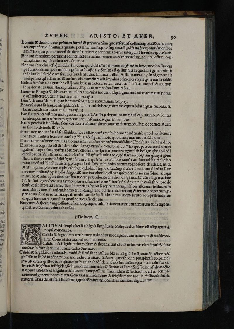 - SVPER ARISTO,. ET AVER. 3o | Bonum diuini uoco primam formá &amp; primam cám; quo referunt collimátgi oía:8 cui queegs | res cupit fieri fimillima quantü poteft Themi.r.phy.fup tex.có.gr.Et ita €t exponit Auer.locá ] illd.Ex quo patet quant deuient à ueritate q per primá formá interptant formá corporeitatis, | Bonum &amp; malum pertinent ad intellectum actiuum,ueritas &amp; mendacium ad intellectum con; .templatiuum.;.de anima.tex.cómen.sr, | | Donum &amp; melius eft Grendá in his G £m quid deficit fümmitate,&amp; nó in his quae oino fine cul | pa funt.Galenus..de utilitate pticularü.cap.rr. P Senfus eft q» fammi in quolibet genere »fiftit in idiuifibili;fed à circa füummü funt latitudiné hrit.iuxta illud Arift.r0.met.t.c.s.In oí genere eft | uná primü qd eft metrü &amp; méfüra orum;méfura aüt íter alias oditiones reqrit oy fit minia ibidé, | Dobus feminis uoxgrauior eft à maribus: in caeteris autem uox feminarü tenuior eft &amp; acutior, | In.4.de natura animalidcap.ultimo,&amp;.s.de natura animalium.caf.14. | Bouesin Phrigia &amp; alibiicernua ueluti auriculas mouent,idg argumentii eft cornua cuti potius g offi adherere.5.de natura animalium.caf.o. Douis ftruma idem eft qj in homine febris.g.de natüra anima.caf.z5. : Bosmifi aqua fit limpida/frizida/&amp; claramon uult bibere,ecótrario equus bibit aquas turbidas li/ | bentius.g.de naturaanimalium.caf.2 4. | Bos fà recenti caftratu ineatiprocreare poteft, Arifto.9.de natura animalid.cap.ultimo. V Contra medios ponentes uirtutem generatiuam in femine acquiri in teftibus. ) Brutapercipiütfenfibilia ficut cortices fru&amp;tuum;horo autem ficut medullam de cortice, A uer, qu in fine lib.de fenfu &amp; fenfa, Bruta non mouen( itaàfenfibilibus ficut hó.mouef etenim homo apudcantü: quod nó faciunt 5p brutaj&amp; fimiliterhomo mouet à picturis &amp; figuris motu quo bruta non mouenft.Ibidem. | Druta carent atione intelfus,i.uoluntaria:non tri carent actione abfolute.Ex difpu.5.in fof: 4.dub, Brutorum cognitio nó defiderataliquá cognitioné.2.coeli,cómé.77.P Ex quo patet error illorum gafterát cognitíuas potétías brutorii effe eifdem fp£i ci potétiis cognitiuis hoís,in qbus ho cói | cat cá brutis. Vi afferüt uifiuá hois cé eiufdé fp£i c uifiua agle,qd flare nó pot,tum qaaig à qbus ui pq fluunt iftz potétiz/fpé diftíguuntitum etiá quia fenfus aialibus tantü dati füntad faluté;fed ho fim f mini ne dá ad falut&amp;j uerifetiá pp cogaitioné.OGs enia hoies natura cognofcere dcfiderát; ux.d. Arift.in principio prima philofophize, qd pbat à figno dicés.Signü adt eft fenfum dilectio. rze ter enim utilitaté pp feipfos diligüt:&amp; maxime aliorá qeftper ipfos oculos.nó eni folum utaga pta. mus;fed &amp; nibil agere dcbétesripm uidere pre oibus:ut ita dici :diligimus.Cá aüt eft ga maxime Yisi hic fenfuá cognofcere nos facit;&amp; plures dfias reri demoftrat, Vfi Cómenta.in com.fnup libro de auti fenfu &amp; fenfatoiaíaduertés iftá differentiam fcribit.Proprietas comphéfiois iftorum fenfüum in nei [| animalibus noneft eadem,homo enim comphendit differentias rerum,&amp; intentionesearum ,p/ prias qua funt in re fenfata,quafi medullam de fructu.In animali uego bruto comprehendütur | eaquz funt extra,qua funt quafi cortices fructuum. ixi ed e Butyrum &amp; fpermá ingcoffantur à calido propter admixtionem partiunz aerearum cum aqueis, | 4,metheo.comen.primo.in colü;6, | 'FAnjetr dq wá | : | P De litera, C, iio E | ur possum) A LID VM fimpliciterfi eft ignis fimpliciter,&amp; aliquod calidum eft aliqs ignis. 4; m P y x3 phyficomen.os. | Ni j«Wdd| Calido &amp; frigido rcs attribuuntur duobus modis fecidutm naturam &amp; accidenta;  [7 |- liter. Comentator,4;metheo.in fumma. y |  xm? | Calidum &amp; frigidum/humidum &amp; ficcum funt caufz in formis elemétori:&amp; funt y caufatz iti formis animalium, 4.cceli.cómén.ao. : | j Calidii &amp; frigidd funt actiua.humidü &amp; ficcá funt paffiua.N6 intelligi in coparatióe actionis &amp; - » pafíoóis in fe,fed in coparatione indiuiduorü mixtoriü, Auer, 4.metheo;in paraphrafi có.primo.  V Vult dicere qp ifte qtuor jlitates primg/fi in fecófiderent o£s funt actiuze;ga ficut caliditas ca/ t lefaciu&amp; frigiditas infrigidat,fic humiditas humeétat &amp; ficcitas exficcat.Sed fi dicun£ duz acti OE | ueputacaliditas &amp; frigiditas;&amp; duz reliqua paffiuz,f. humiditas &amp; ficcitas,hoc eft in compa^ e LL ratione ad generationem mixti.Generantenim calidum &amp; frigidam:ut inquit Arifto.obtinétia materiá.Et ita dcbet ftare Ifa cóméti,quia comuniter locus illeinuenitur deprauatus,