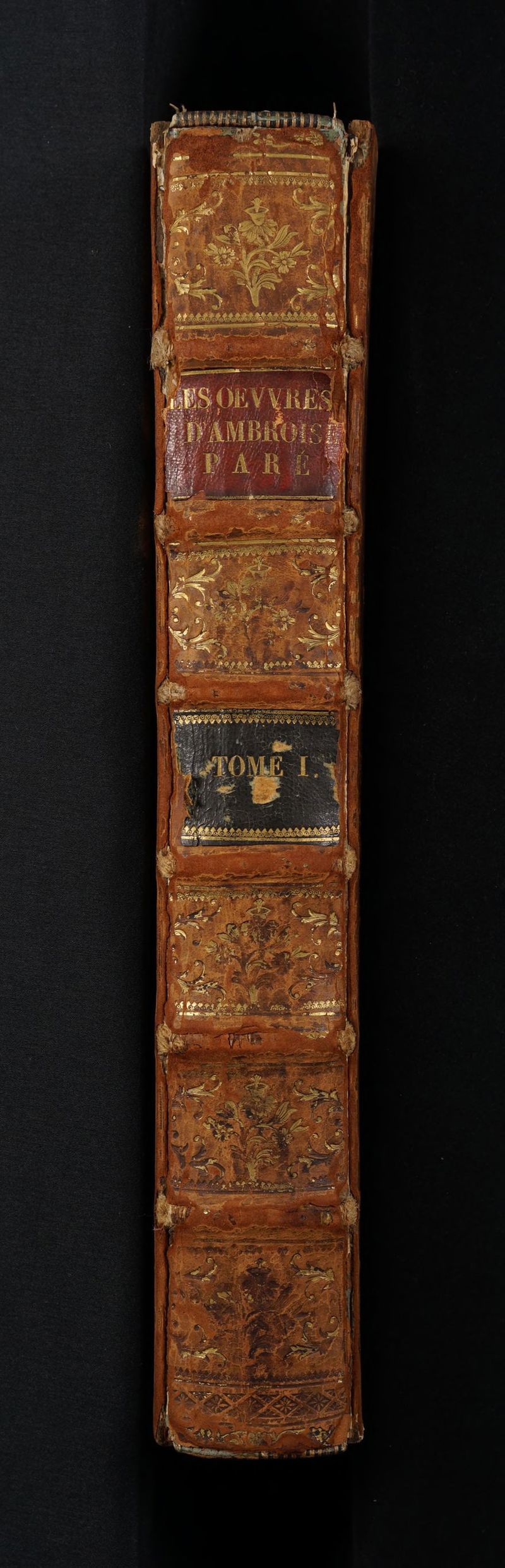 No text description is available for this image