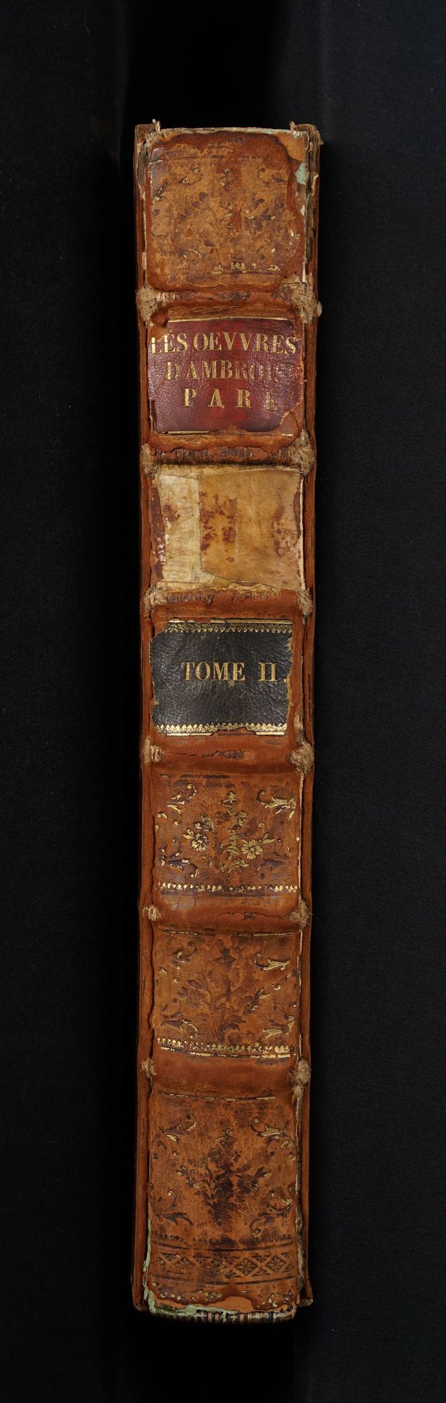 digitised image 2