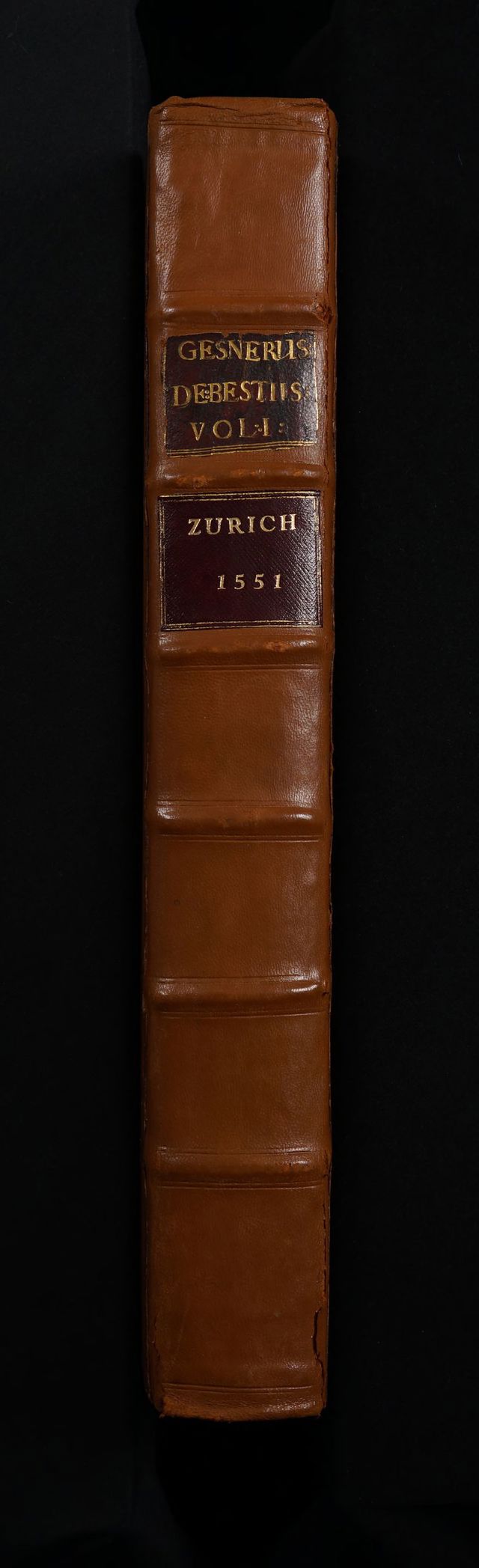 digitised image 2