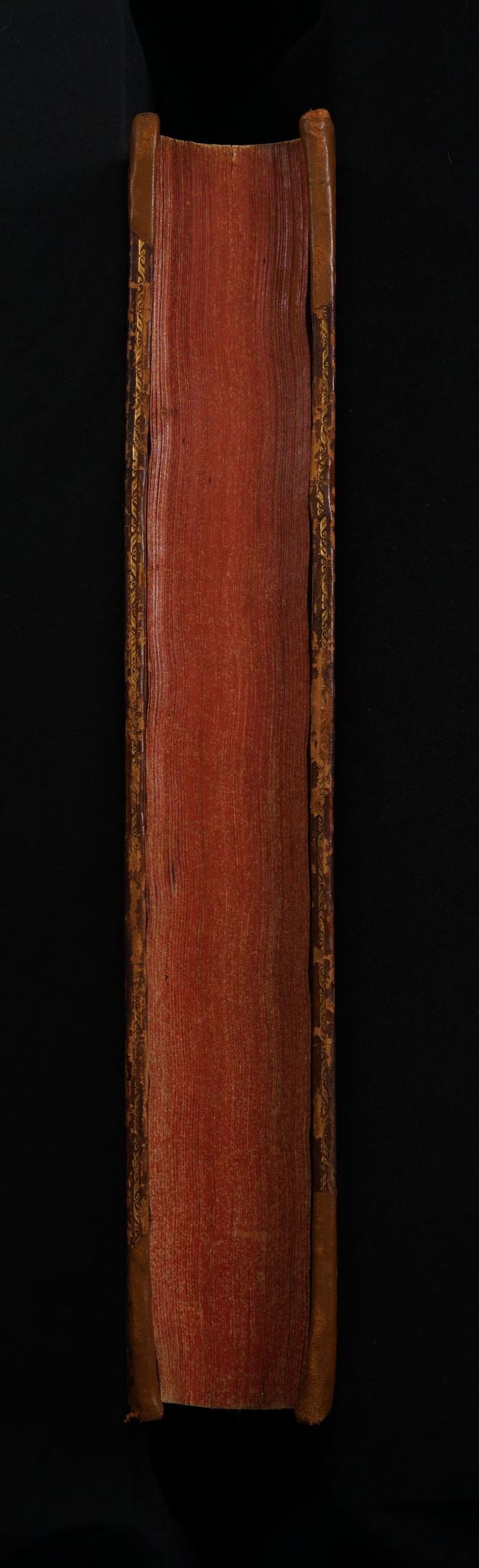 digitised image 3