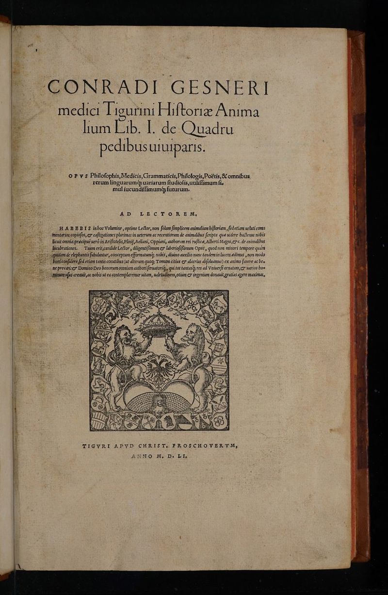.CONRADI GESNERI — — media ligurini Hiftoriz Anima E : lium Lib. . de (Quadru pedibus urutparis, | Oo P y $ Philofophis, Medicis, Grammaticis, Philologis,Poétís, &K omnibus If TE : rerum línguarum(q uaríarum ftudiofís,utiliffimum fi d c mul íacundiffimumQ futurum. LOTETUR SIMA AD LECTOREM, | 5m HABEBIS inbocVolutine ,optime Lector, non folum fimplicem animalium bifloriam ,fed etiam ucluti cont Uus Hr s mentarios copiofos, ex caftigationes plurimas iri ueterum ac recentiorum de auimalibus fcripta que uidere bactenus nobis d : licuit omnia;precipue uero in Ariflotelis, Plinij, Acliani, Oppiant, authorum rei vuflice, Alberti Magni;ez'c. de animalibus dücubrationes. Twin erit;candide Lector , diligentifsinum ez laboriofifiimum Opus , quod non minori tempore quam ; quidam de elephantis fabulantur, conceptum efformatumqs nobis , diuino auxilio nunc tandem in lucem «dimus , non modo z-- t boni confulere, fed etiam tantis conatibus (ut alterum quoq; Tomum citius ex alacrius abfoluamus) ex animo fauere ac bea ies fie precarize* Domino Deo bonorum omnium authori feruatoriqs, qui tot tantasds res ad V niuerfi ornatuni, er uarios bos pi cos numm ufus ereauit,ac nobis ut ea contemplaremur witant, ualetudiyen,otium c7 ingenium donauit, gratias agere maximas, TIGYRI APYD CHRIST, FROSCHOVERYM, n j | ANNO M, D. LI,