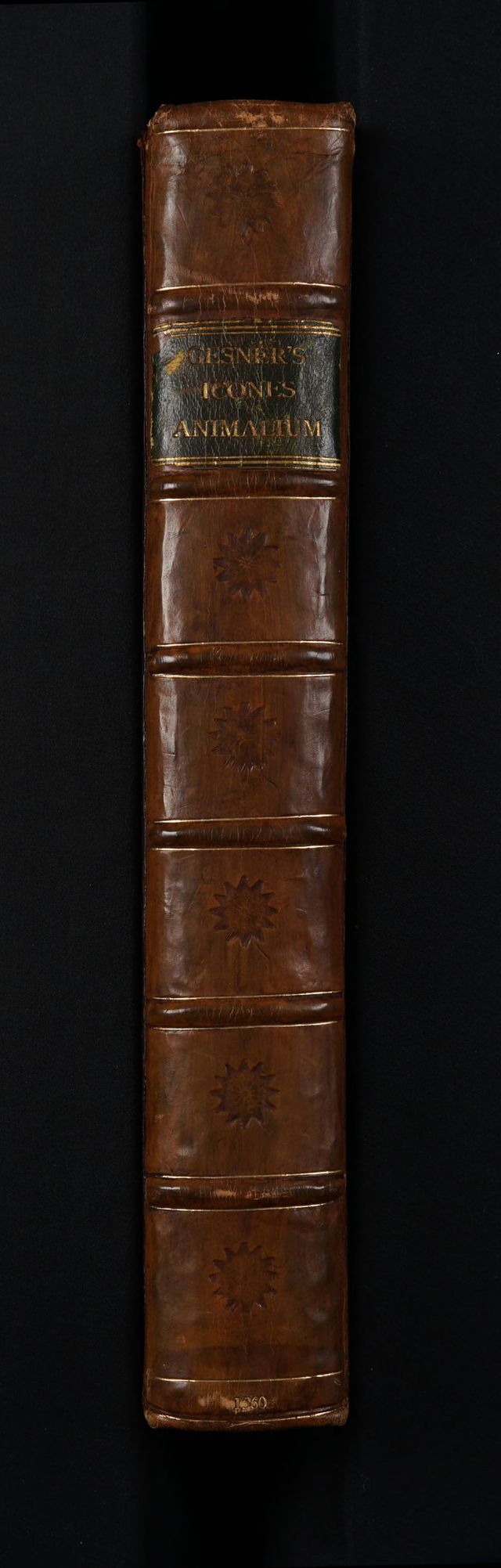digitised image 2