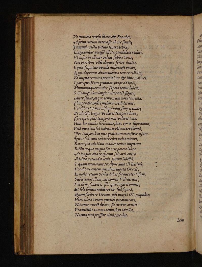 Vt quiuero ter[u blatevabo Sotadeo; eA primalocum littera fic abore fumit; | 7 Tmmunia rictu patulo tenere labra, | | i . Linguamque neceffe eff ita pendulam veduai, | | V sufus ia illam cvaleat [ubire vocis; Mj Necpartibus vllt aliquos ferire dentes. ] n £ qua fequitur vocula dil]ouaeff priort, a D uia deprimut altum modico tenore riéfum, | Na Et lingua remotos premit binc &amp; binc molares. (im 1 porrigit ium geminos prope ad ipfos, a Minimuwautguerendet [upero tenus labello. p on O Graiugenum longior altera eff froura, Boni eAlter [onus atque temporum uota variata. | Un (ompendia noflri meliora crediderunt, (n Vocalibus vt nou uiff quinque fungeremur; | ag Produ£tio longis vt daret tempora bina, » 6 (orreptio plus tempore mon valeret vno. | (0t Hinc ires minis [eribimus binc eo» [upremum; 3 ! Vuá quomam [at babitum e$l motareformá, B *Pro temporibus que geminum mimftret vfum. Ti Jgitur Jomtum reddere ctm voles minori, Lh Retror[us adaéiam modice teneto linguam: | 1B Riéiu ueque magno fat erit patere labra. Kj eAt longior alto tragicum fub orit antro E eMolita,rotundis acuit. [onum labellis. à Y quam memorant yvocibus auia efi Latinis; r E Vocalibus autem quoniam iugata Grecis, d In noftra etiam verba dabat frequenter v[um. 7 Subiecimus illam cui nomen V dederunt, a Vocalem ,[onantes [ibi que iugaret omnes, | Ji t fola fomumredderetex. [id figurd, Ni uem fcribere Graiis vift iungat OY nequibits 5 j Hanc edere vocem quoties paramu ore, Hum Nitamur cot 0 dicere; fic citetur ortu: i Produttiis autem coéuntibut label], X D Natura foni prefior aliis meabit. —— ss :  Iam