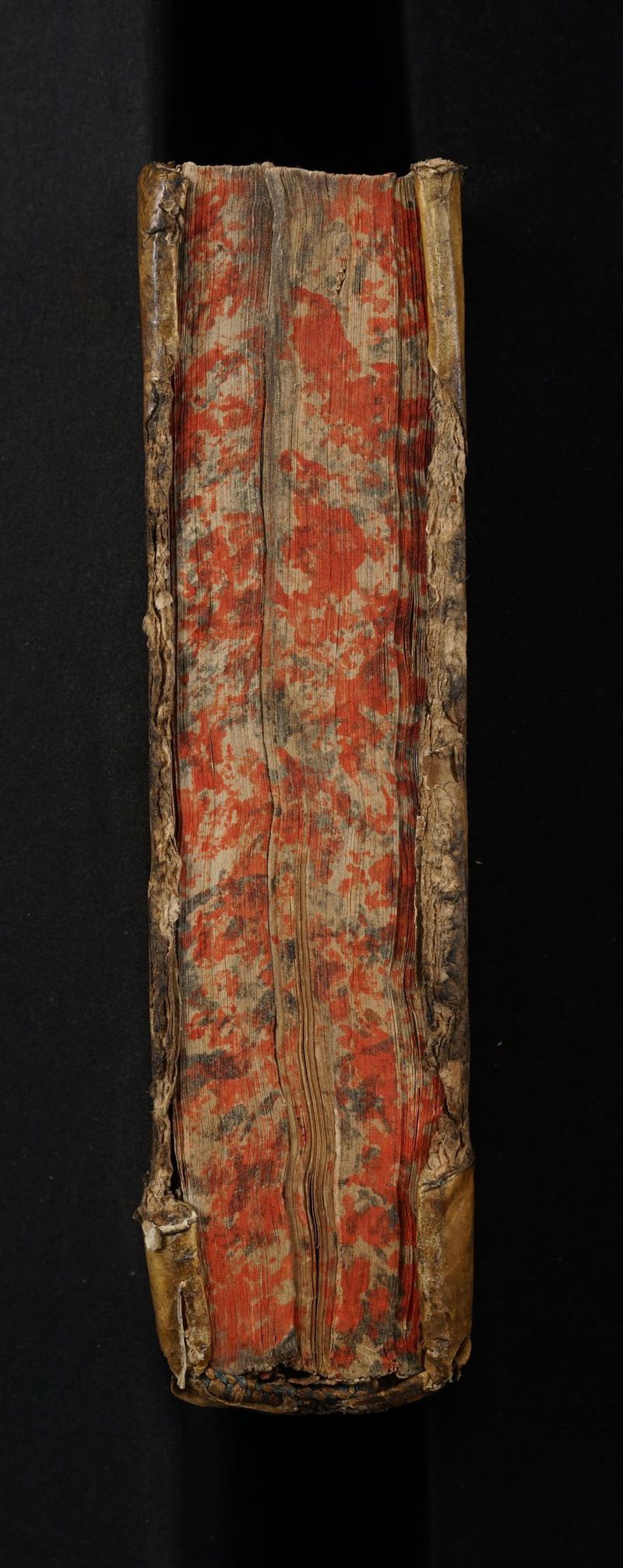 No text description is available for this image