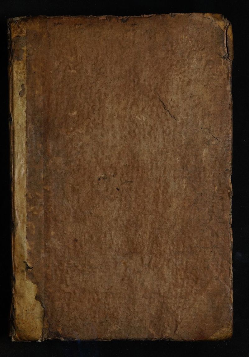 No text description is available for this image