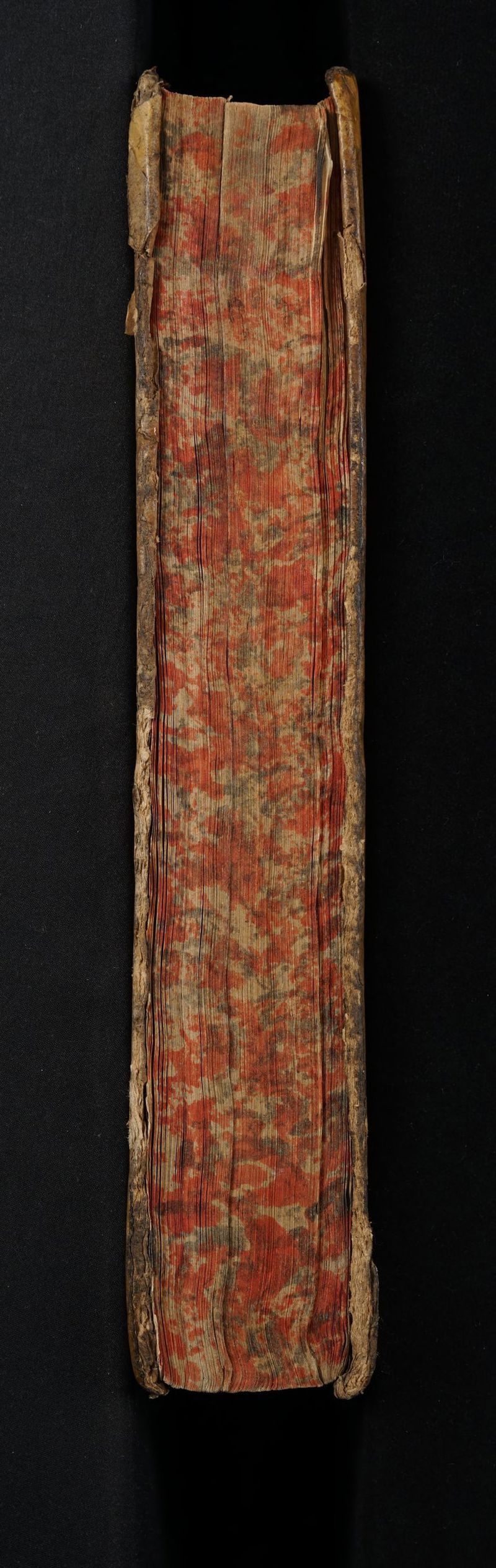 No text description is available for this image