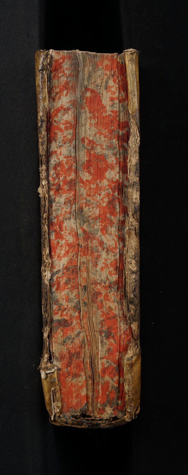 No text description is available for this image