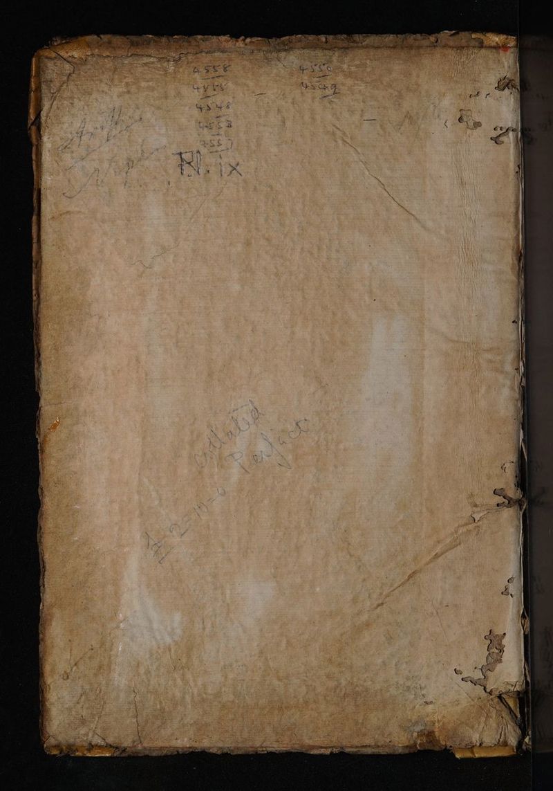 No text description is available for this image