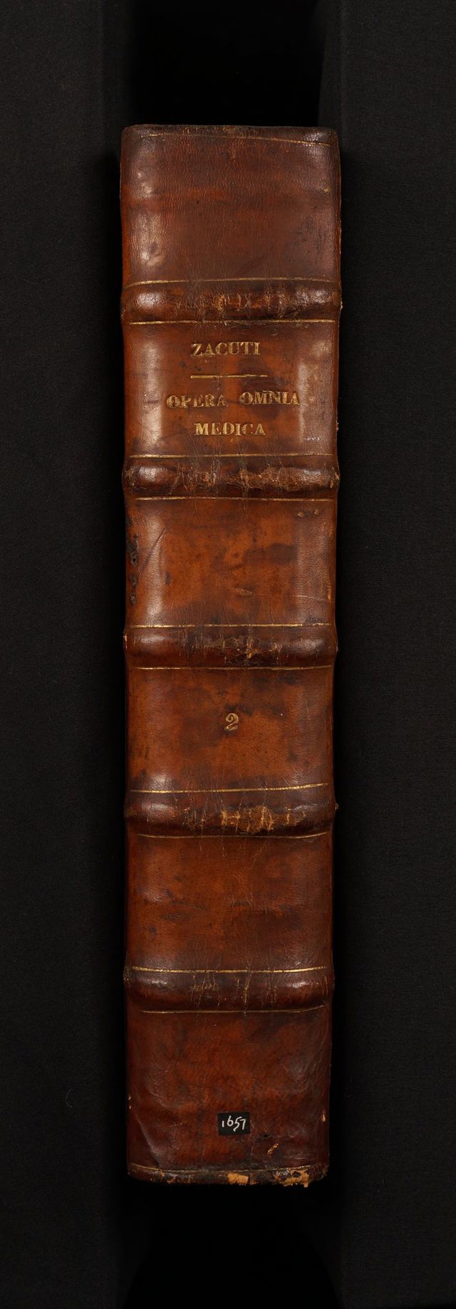 digitised image 2