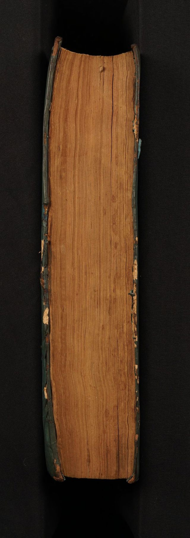 digitised image 3