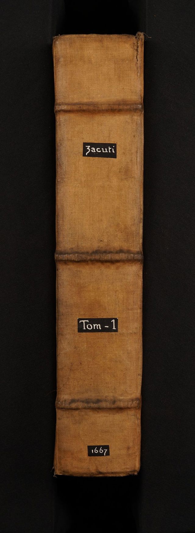 digitised image 2