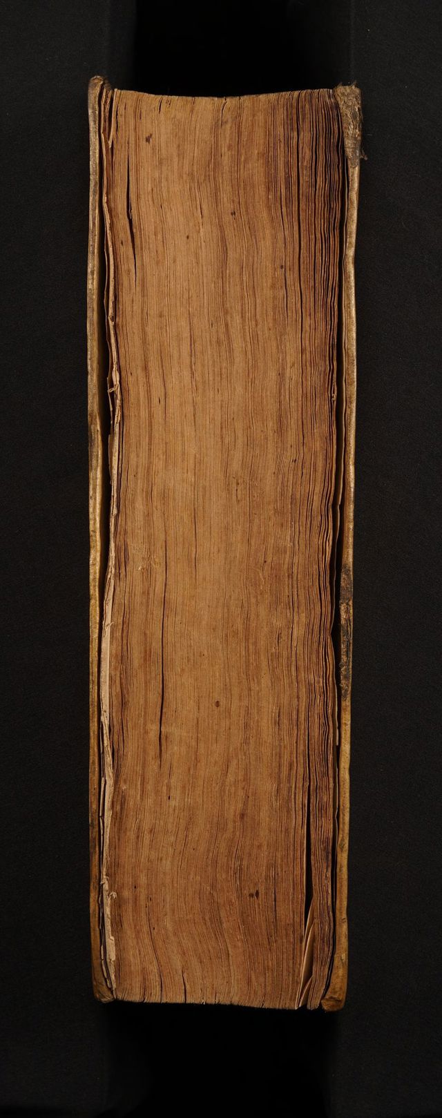 digitised image 3