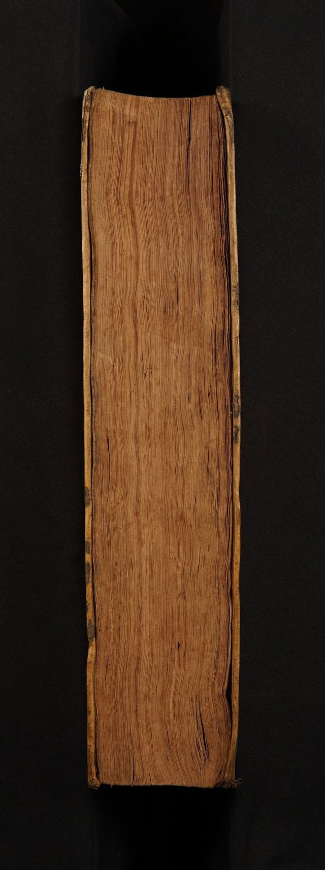 digitised image 3