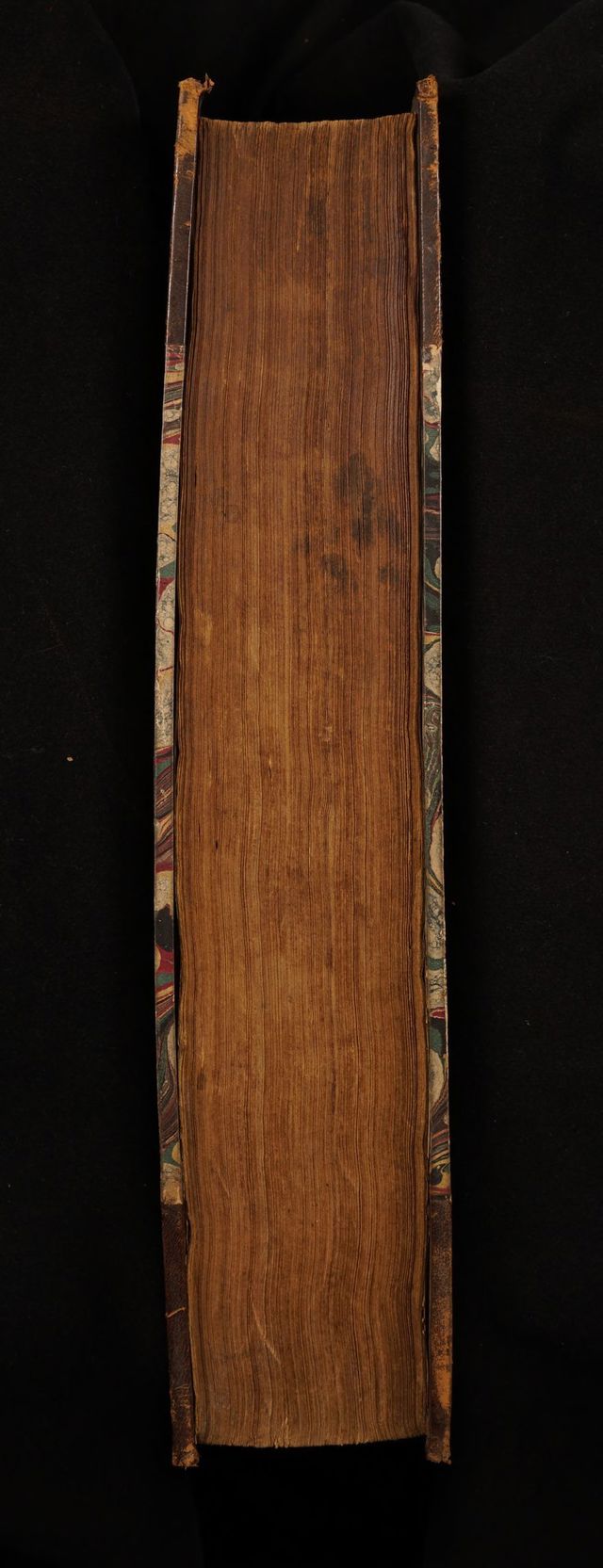 digitised image 3