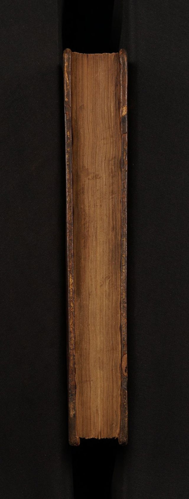 digitised image 3