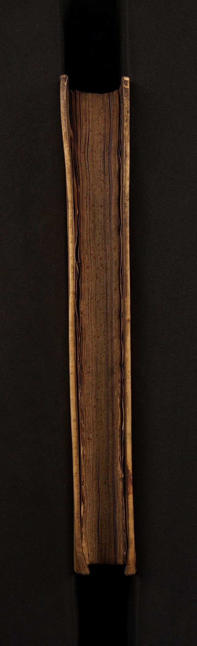 digitised image 3