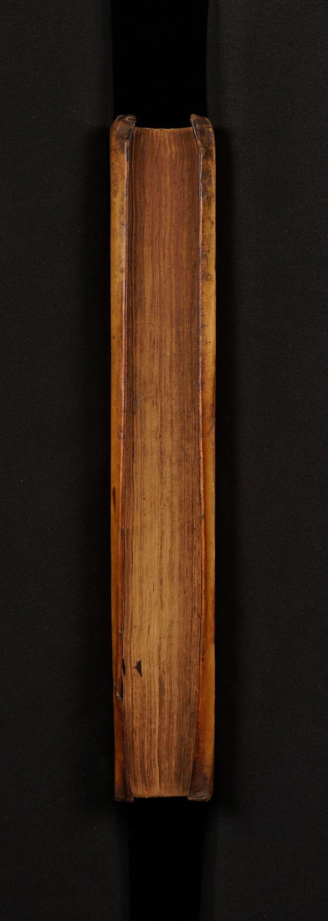 digitised image 3