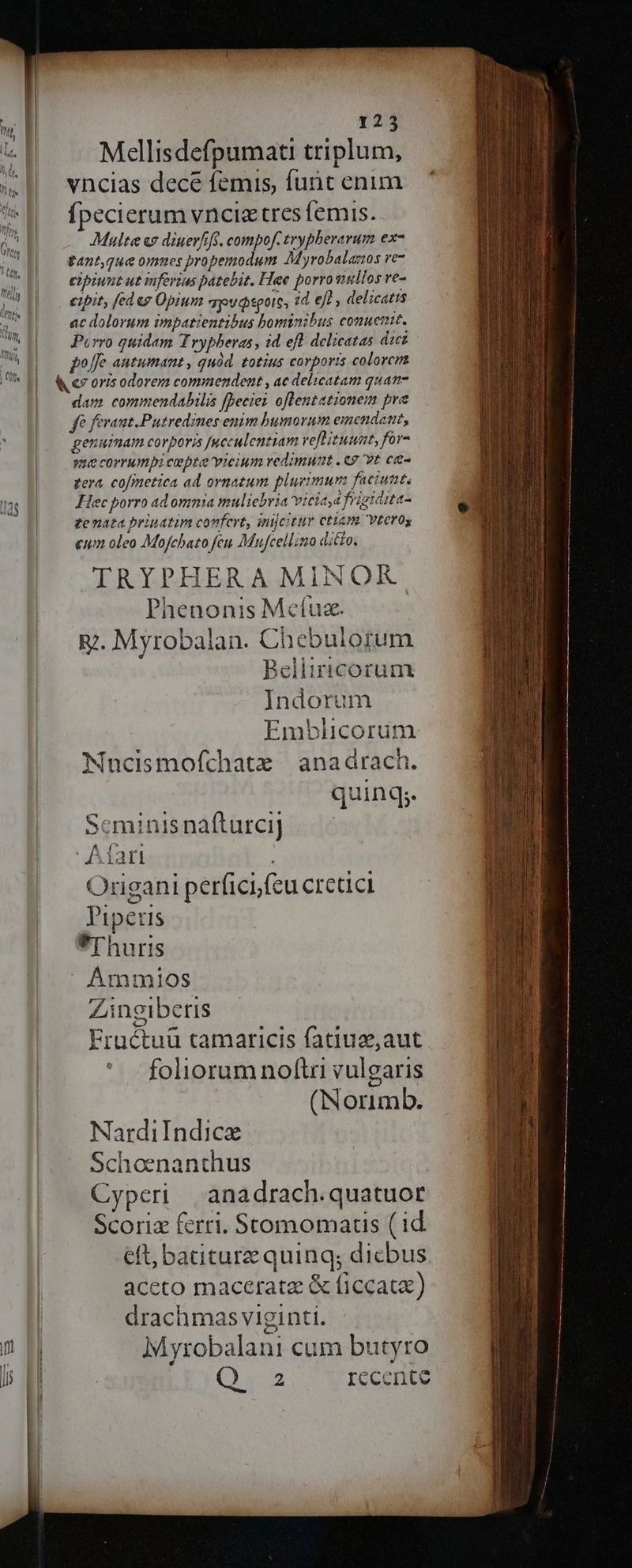 Mellisdefpumati triplum, vncias decé femis, funt enim Ípecierum vnciz tresfemis. Multe «y diuerfifs. compof. trybberarum ex^ gant,que omues propemodum Myrobalanos ve7 cipiunt ut mferius patebit. Hae porro vullos re- cipit, fedes Opium pv toit, zd efl , delicatis ac dolorum impatientibus bominibus conuent. Porro quidam Trypheras, 1d eft delicatas dzcz poffe autumant , quód. totius corporis colorcm dam commendabilis [beciez oflentationem pre fe ferant.Putredines enim bumorum eimendant, genuimam corporis [ucculentiam vefHituunt, for- ye corrumpi cepte vicium redimutt . 69 vt ca- tera, cofmetica ad ornatum plurimur faciunt. Hlec porro ad omnia muliebria viciaya frzgiaita- te mata priuatim confert, intjcitur etiam vtero, eum oleo Mofchazo feu Mujcellino ditto. TRYPHERA MINOR Phenonis Mcíuze. | &amp;. Myrobalan. Chebuiorum Beliiricorum Indorum Emblicoruim Nucismofchatz | anadrach. quinq; r Scminis nafturci] A1arti : Origani perficifeu cretici Pipetis Frhuris  Ammios Zineiberis Fruéctuü tamaricis fatiuz,aut foliorum noftri vulgaris (Norimb. [dd P» NardiIndicx Schoenanthus Cyperi | anadrach.quatuor Scoriz ferri. Stomomaus (1d eft; batiture quinq; dicbus aceto maceratz &amp; ficcatx) drachmas viginti. Myrobalani cum butyro Qua rccente