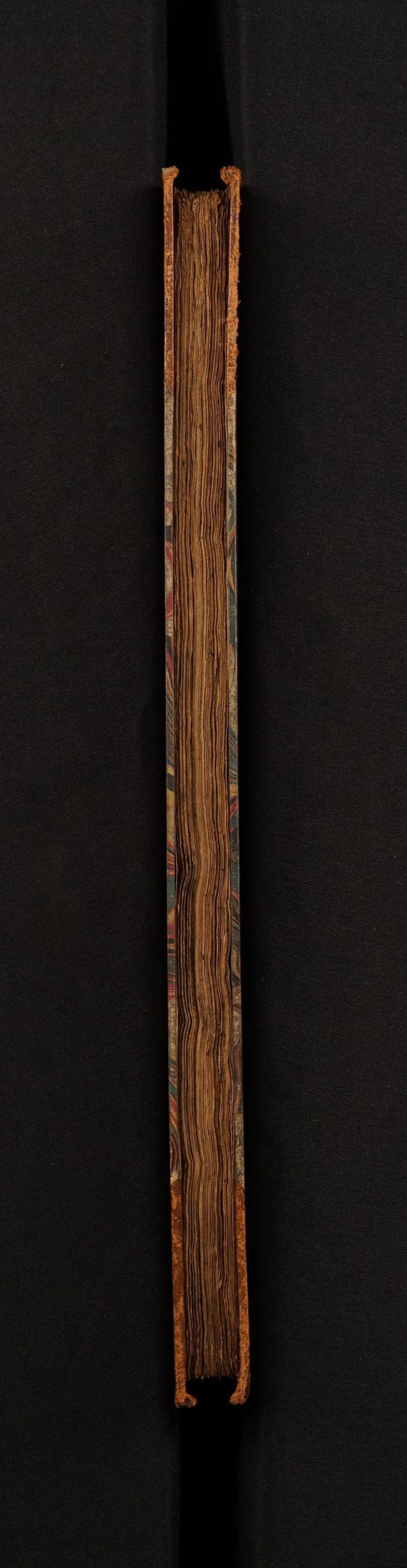 digitised image 3