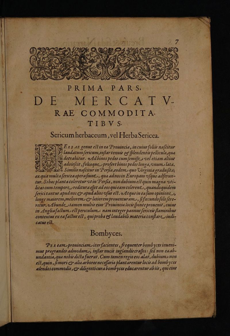 K S. DoecoNeEWSCu T V: RAE COMMODIT A- dt cowBq Ss Sericum herbaceum ,vel HerbaSericea. Paw) [a P Ra AE genut esl in ea Prouincia , in cuius foliis nafcitur | laudatum fericum inflar tenute eg [Bendentis pellicula,qua & detrahitur. edd binos pedes cum [emiffe » vel etiam altiue Q adole[cit ,foltaque » profevt binos pedes longa,vmum.s lata. B^ 9 deco Similes nafcitur im Perfiaeodem» quo Uirginia eradufita; exquamulta fericeaoperaftunto , qua adnosin Europam v[que adferun- tur. Sibac planta coleretur vt in Perfra , nondubium efi quin magna «vti- litas cum tempore »reditura effet ad eos qui eam colerent, , quandoquidem ferici tantus apud nos ez: apud alios ufus est. ed tquein ea [m opinione », longe matoremymeliorem» e letiorem prouenturam., , [Vfeecundofolo fere- retur. e Abunde »tamen multis eius «Proutncia locis [ponte prouenit , cutus in Angliafactum» esi periulum»: nam tnteger pannus fericeis flaminibus contextut ex eafactus est , quiproba &9 laudabili materia conflare 5 iudi- catus eit. | : | MB. $á E / Bombyces. Pz n ean prouinciam» iter facientes , frequenter bomb yces inueni- «mut pragrandes admodum», inffar nucis iuglandis cra[fos : fed non eaab- undantia,qua nobis dicta fuerat. Cum tamen regio eos alat, dubium» nom esi, quin , frmori ez alia arbores neceffarta plantarentur locis ad bombycet alendos commodis ,c diligenti cura bombyces educarentur ab its , qui eius LA T — dim E iar d NIS m cat ps —— VM TS e V Tuer. AnPEssctamnemer s aerem tli gni C M ECT ngu men TESI zm n